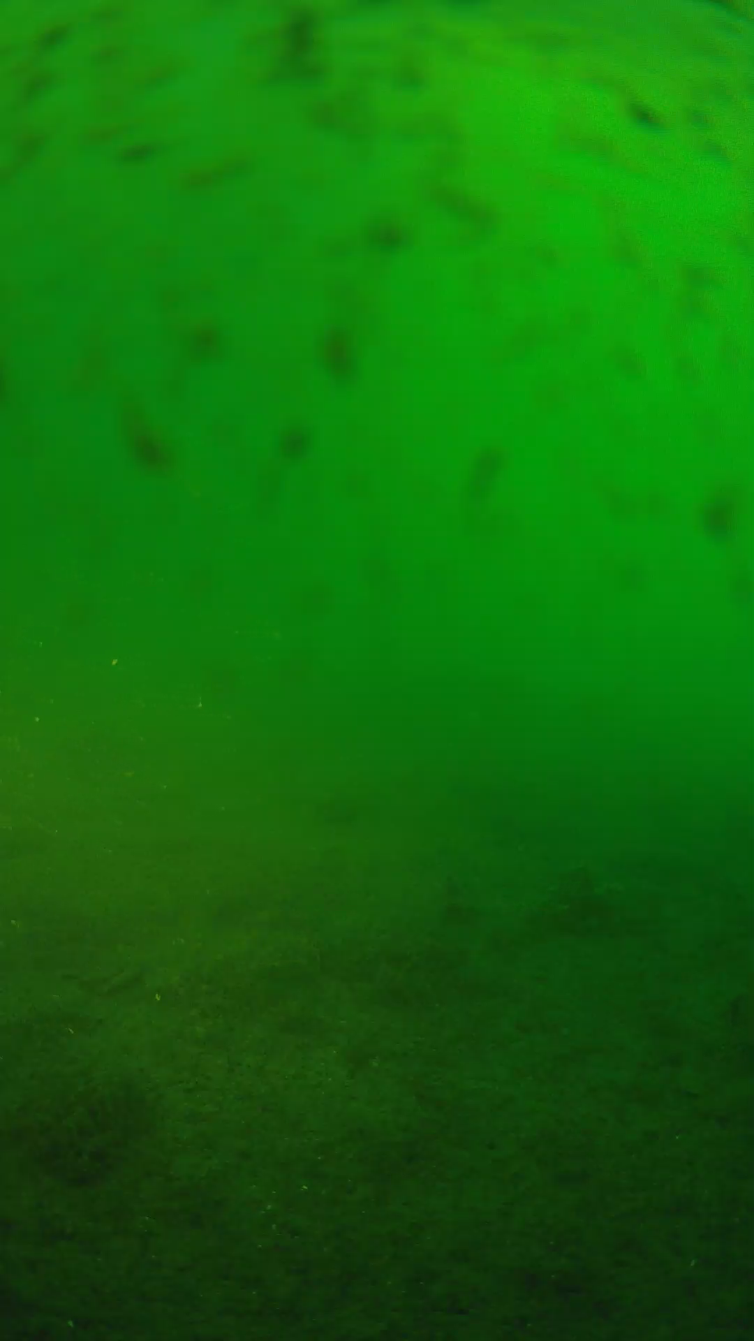 lander_ipcam_20240626060555.png