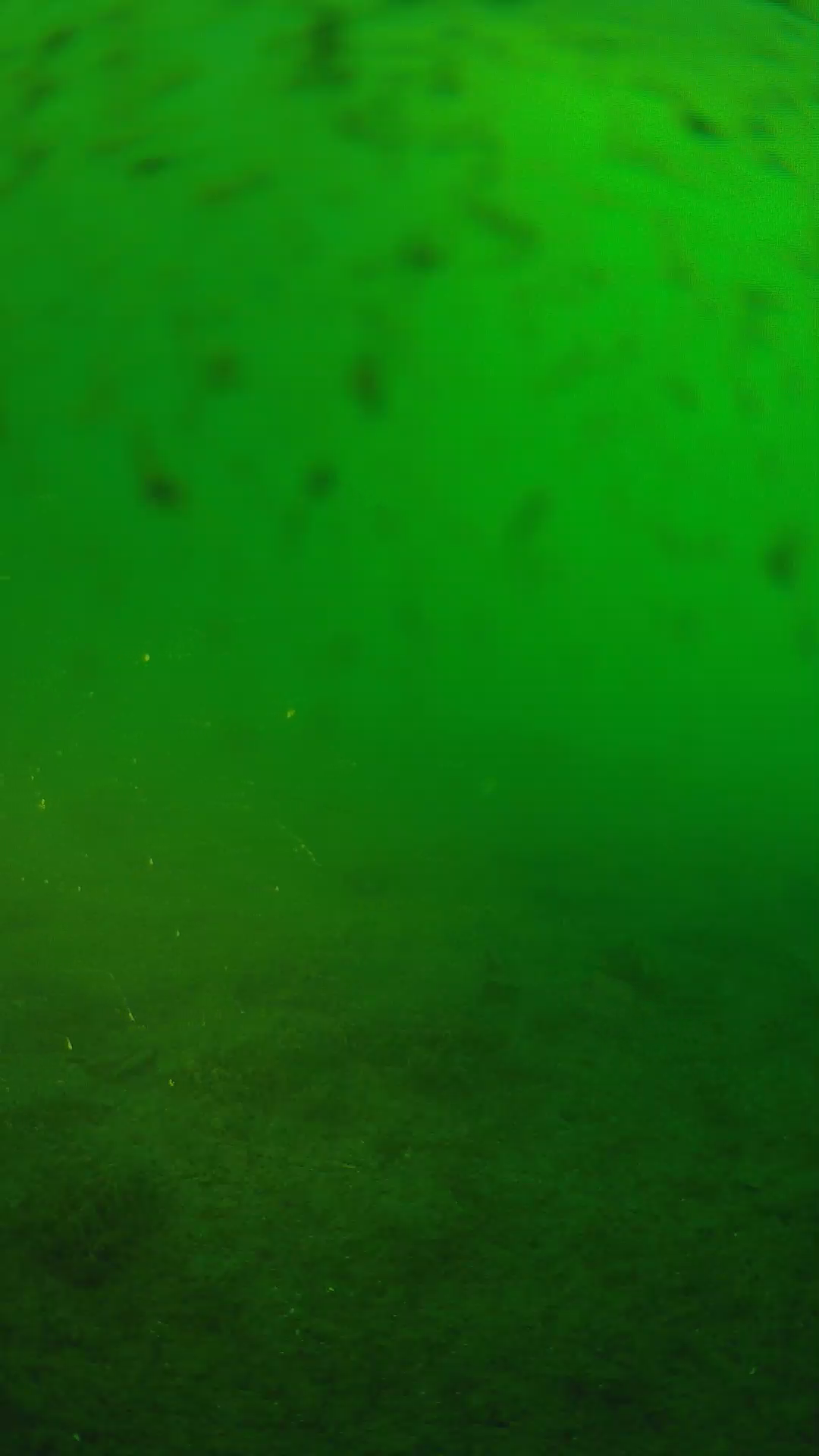 lander_ipcam_20240626060602.png