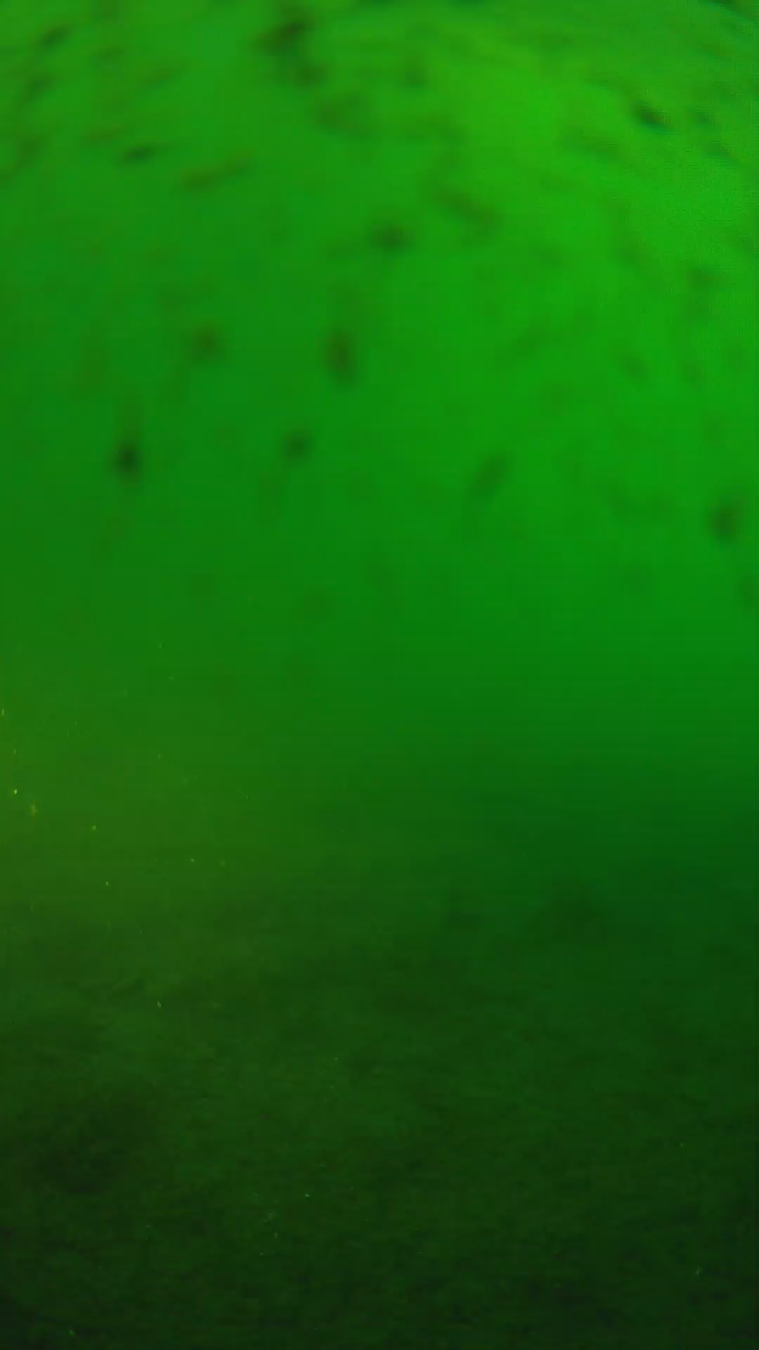 lander_ipcam_20240626063542.png