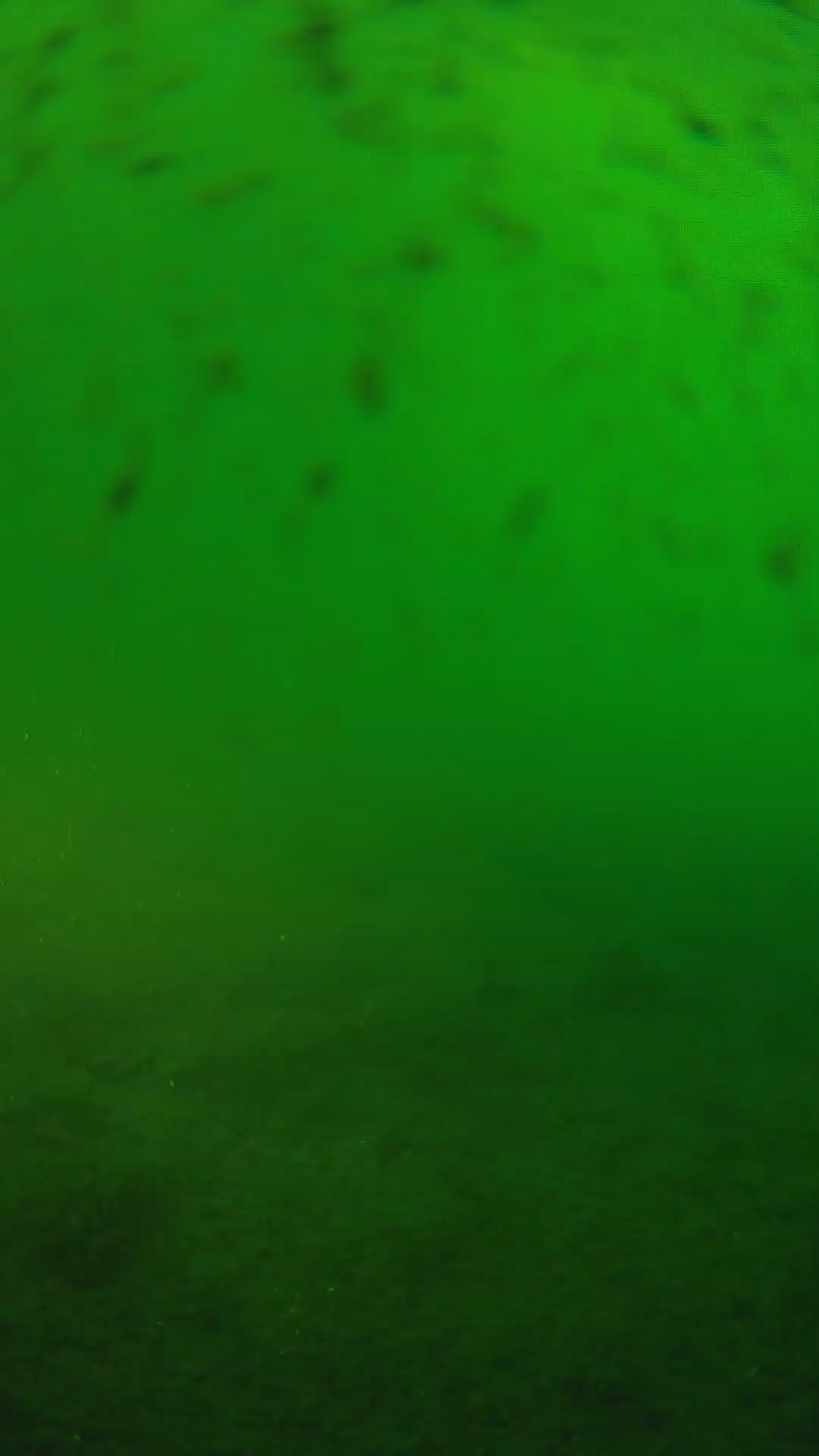 lander_ipcam_20240626063547.png