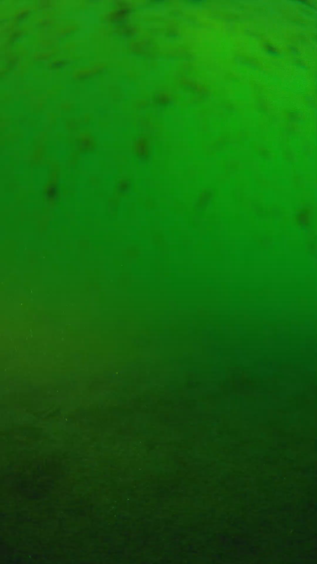 lander_ipcam_20240626063549.png