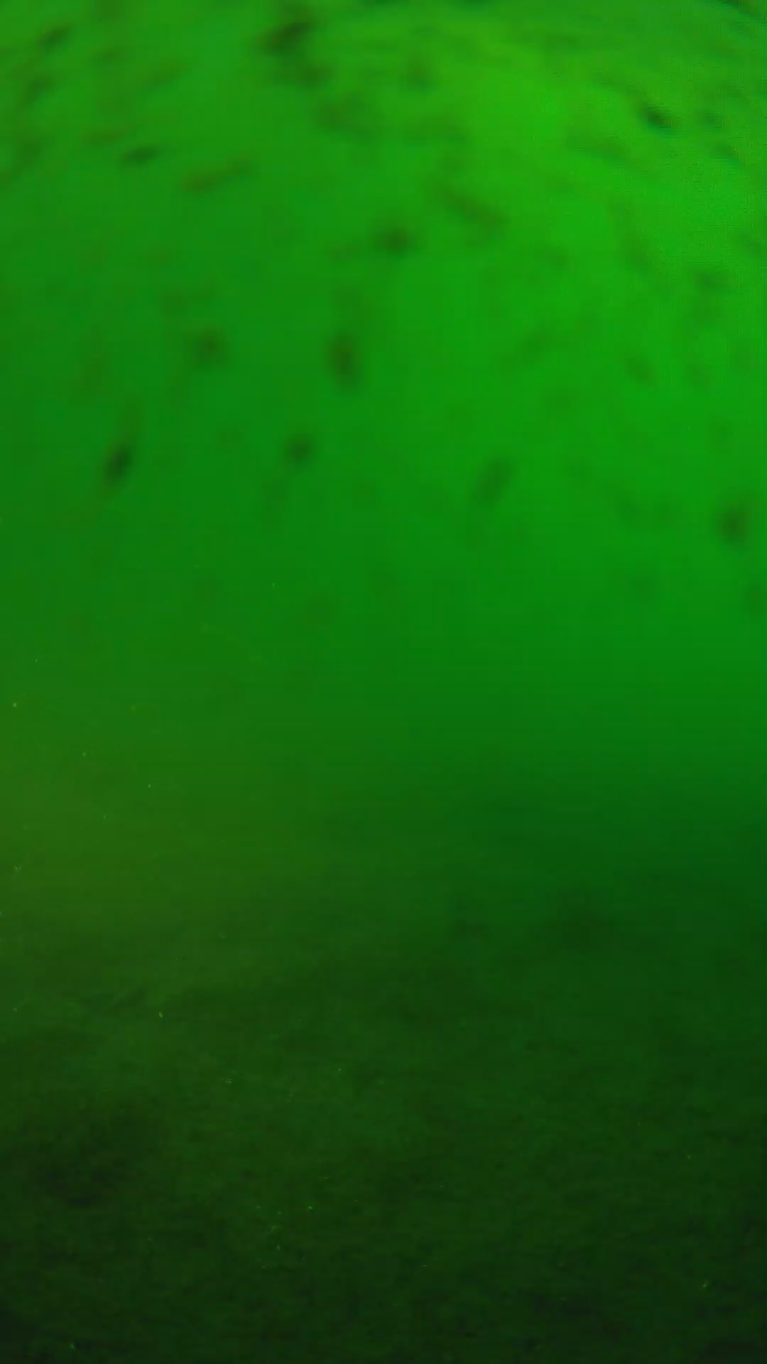 lander_ipcam_20240626063601.png