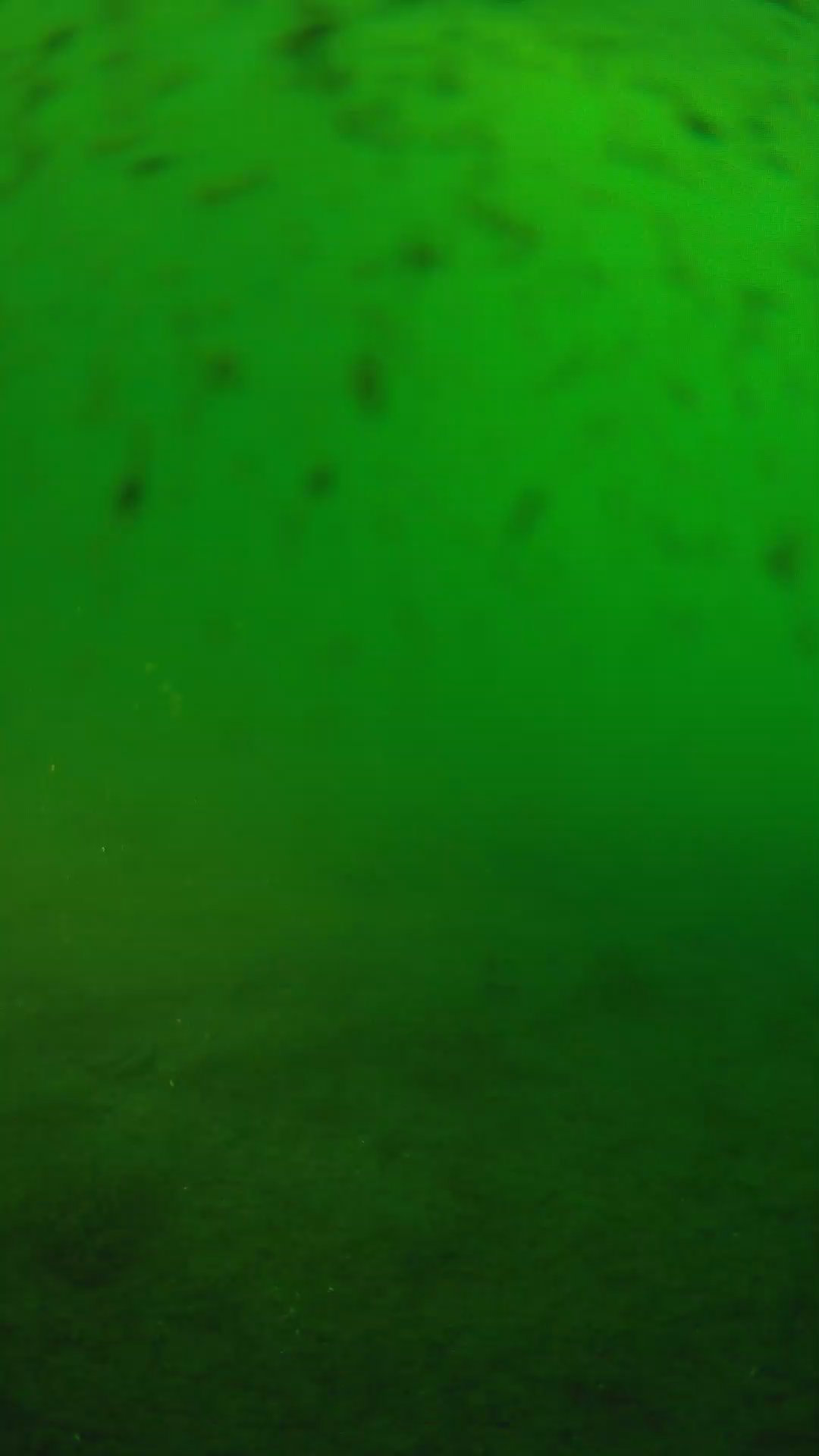 lander_ipcam_20240626063603.png