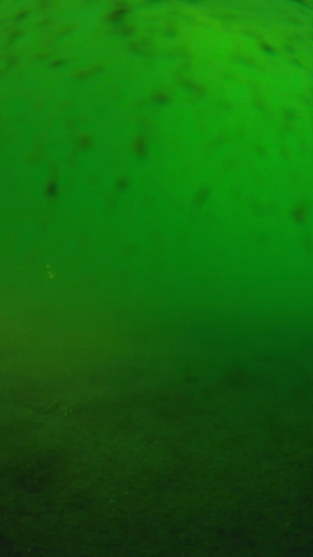 lander_ipcam_20240626063604.png