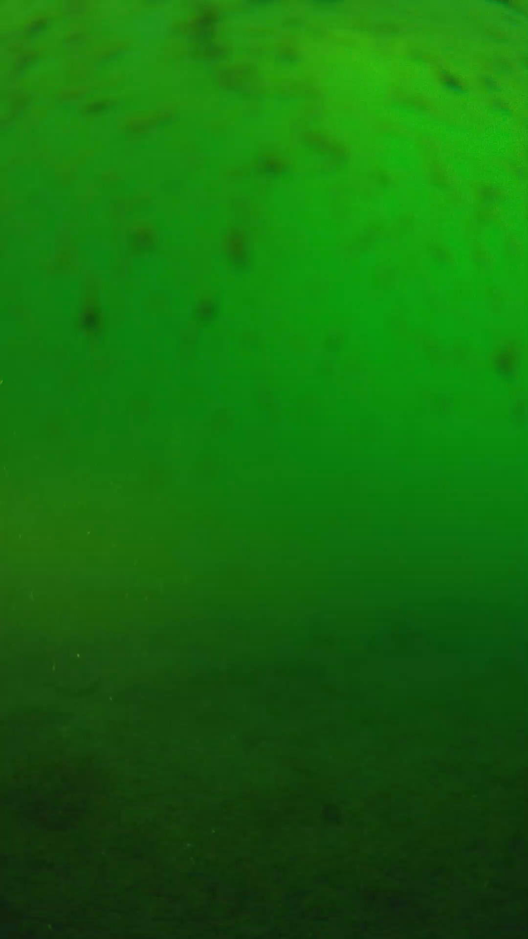 lander_ipcam_20240626070538.png