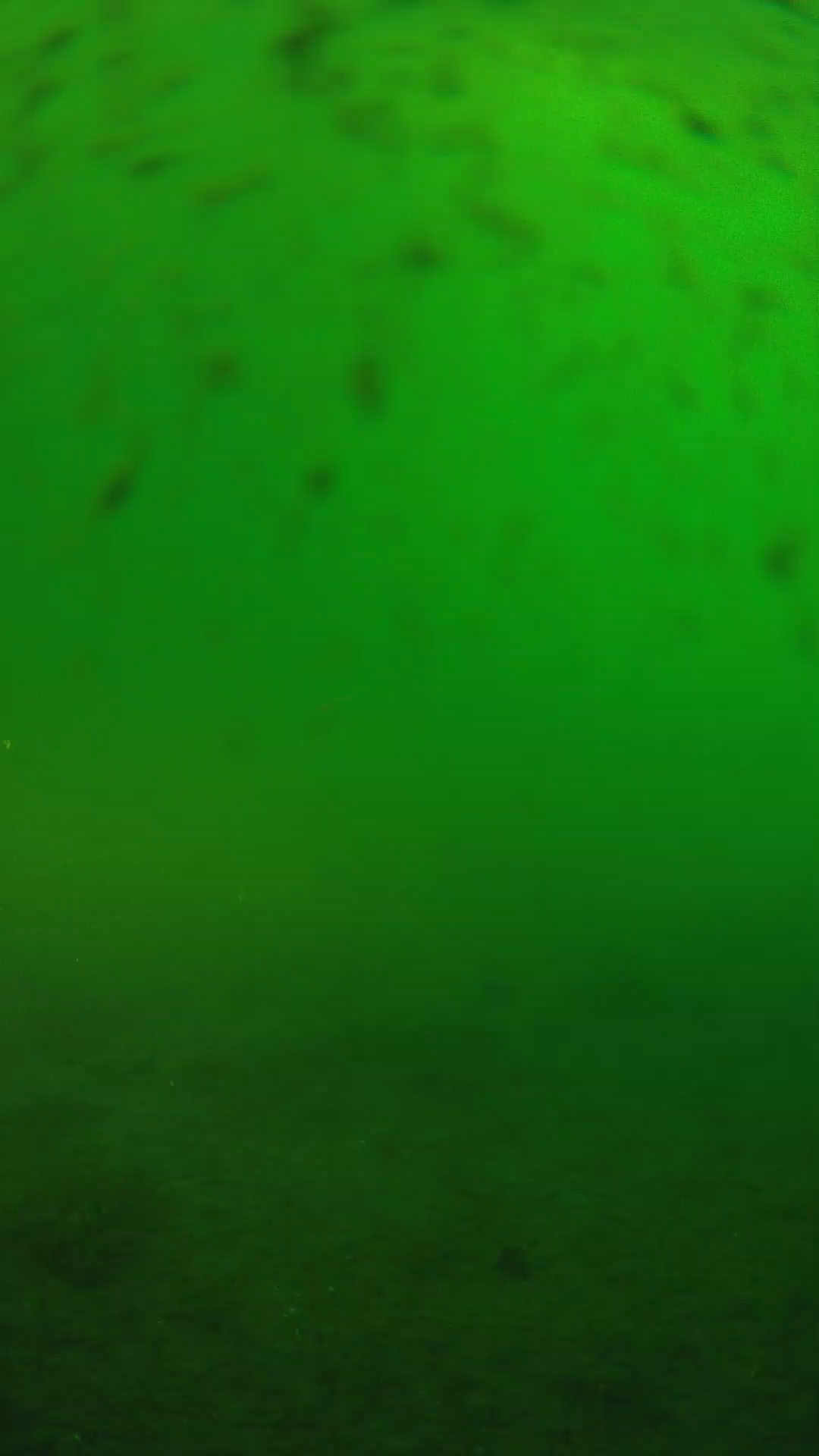 lander_ipcam_20240626070552.png