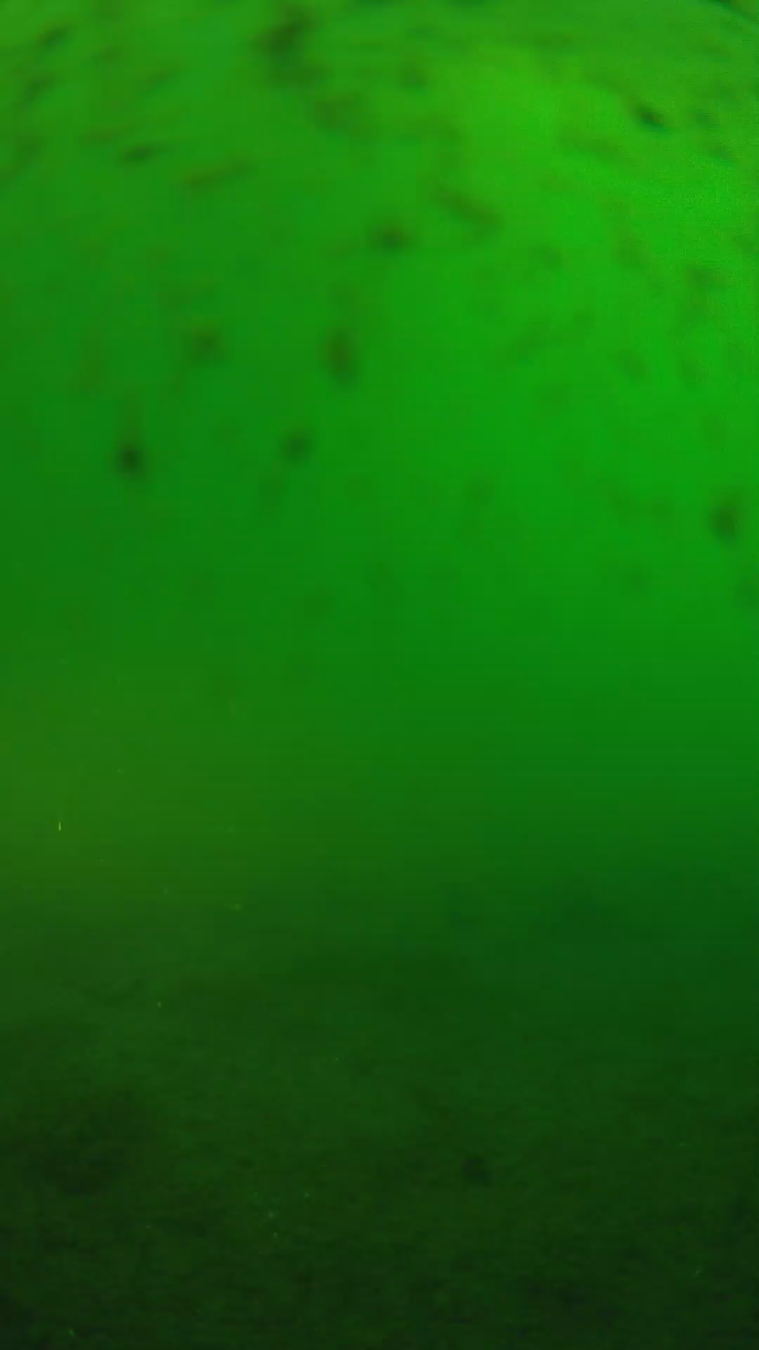 lander_ipcam_20240626070604.png