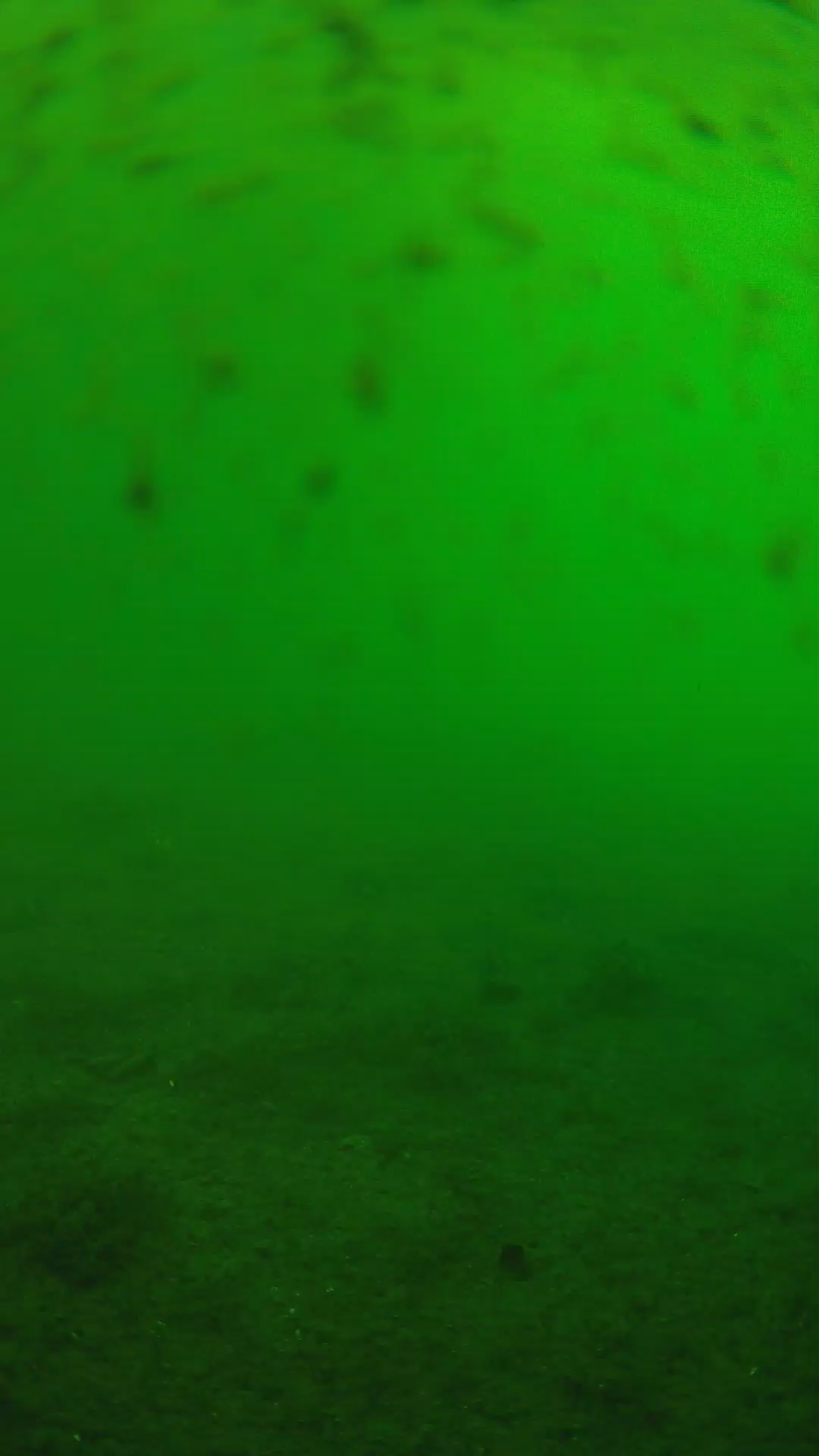lander_ipcam_20240626073549.png