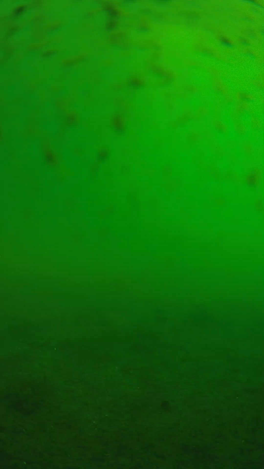 lander_ipcam_20240626080552.png