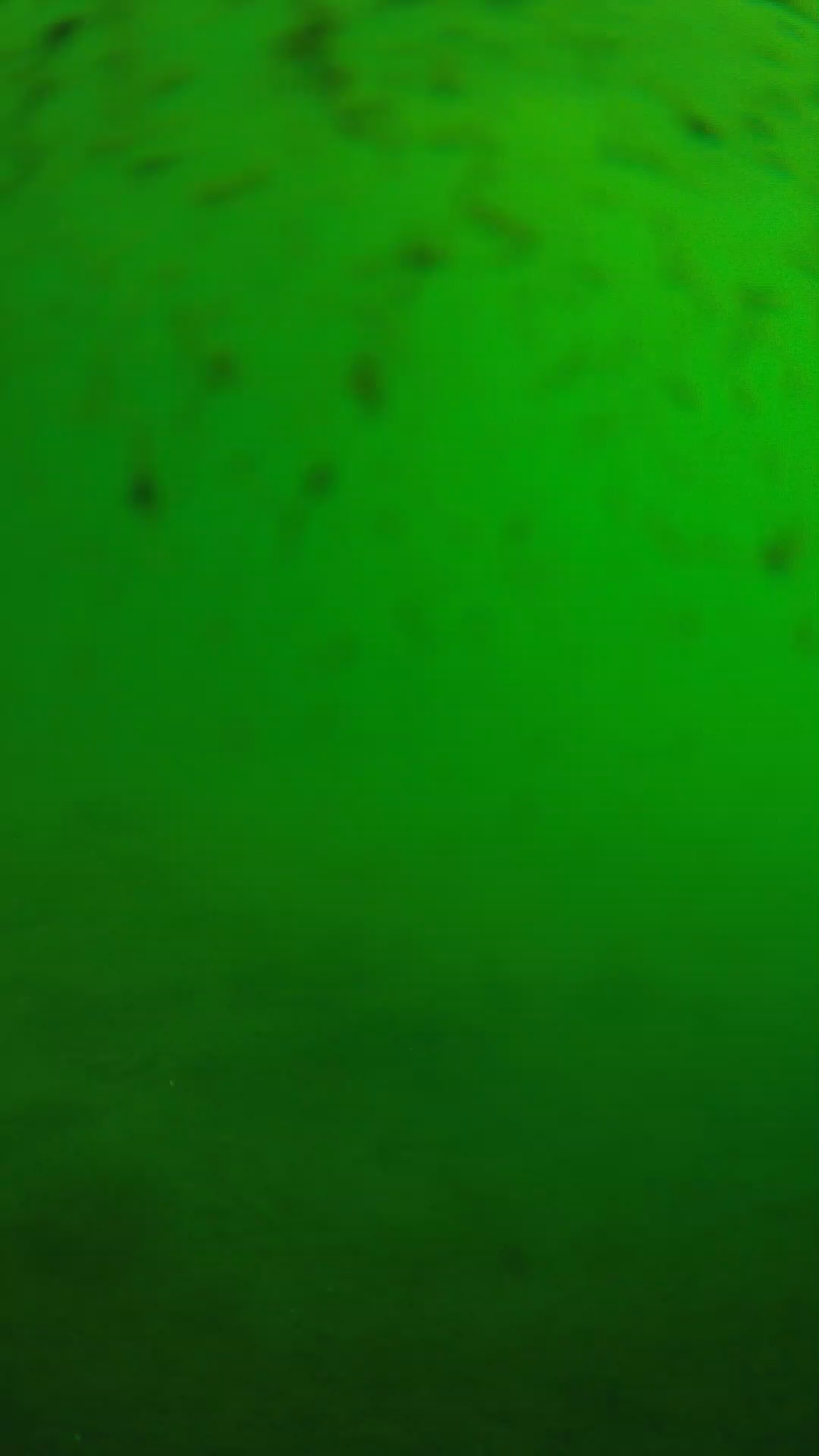 lander_ipcam_20240626083539.png