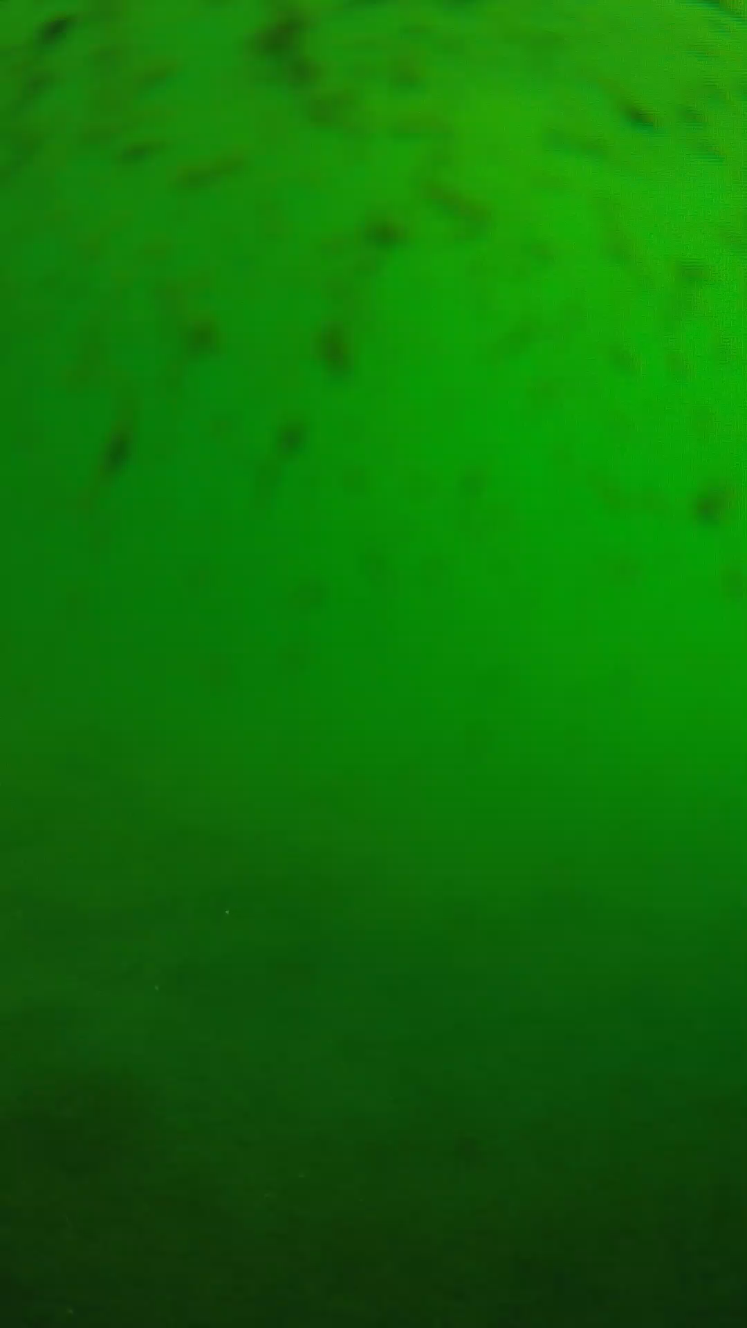 lander_ipcam_20240626083541.png