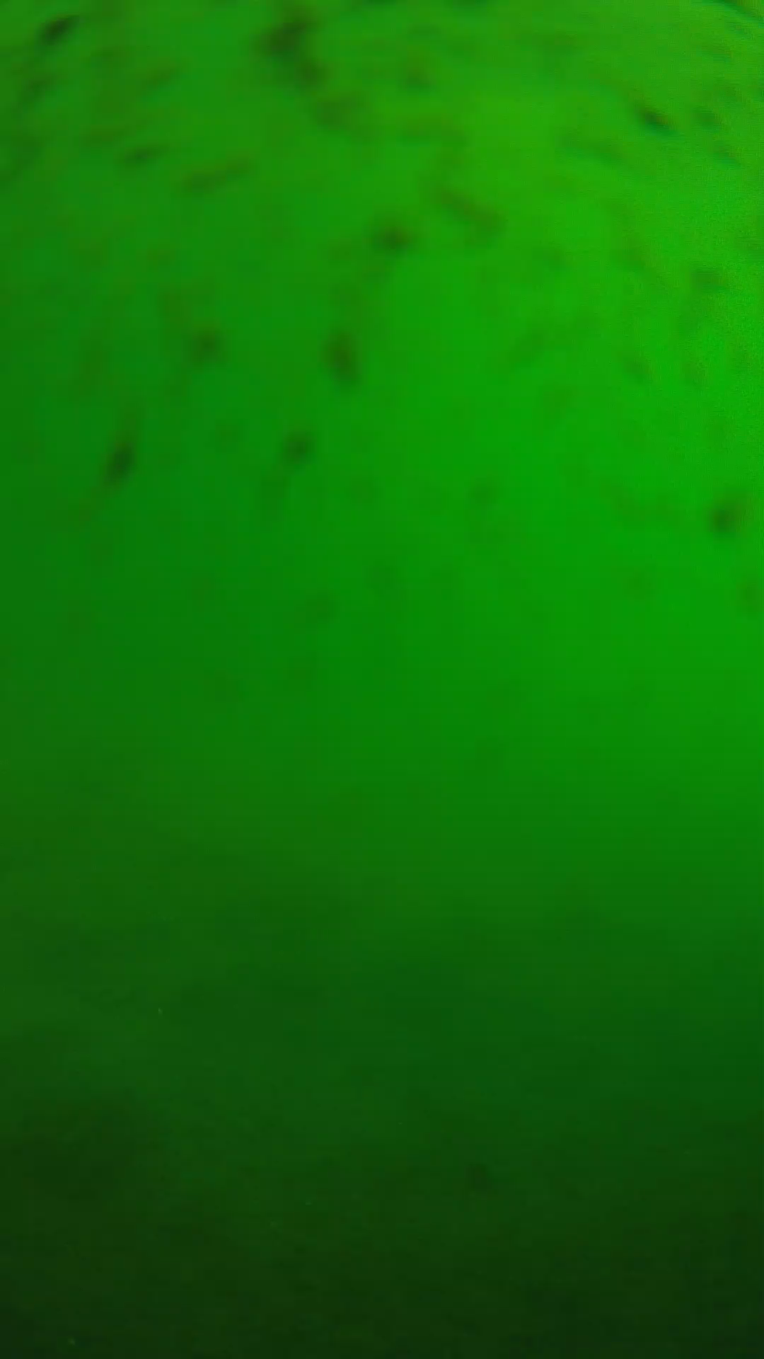 lander_ipcam_20240626083542.png