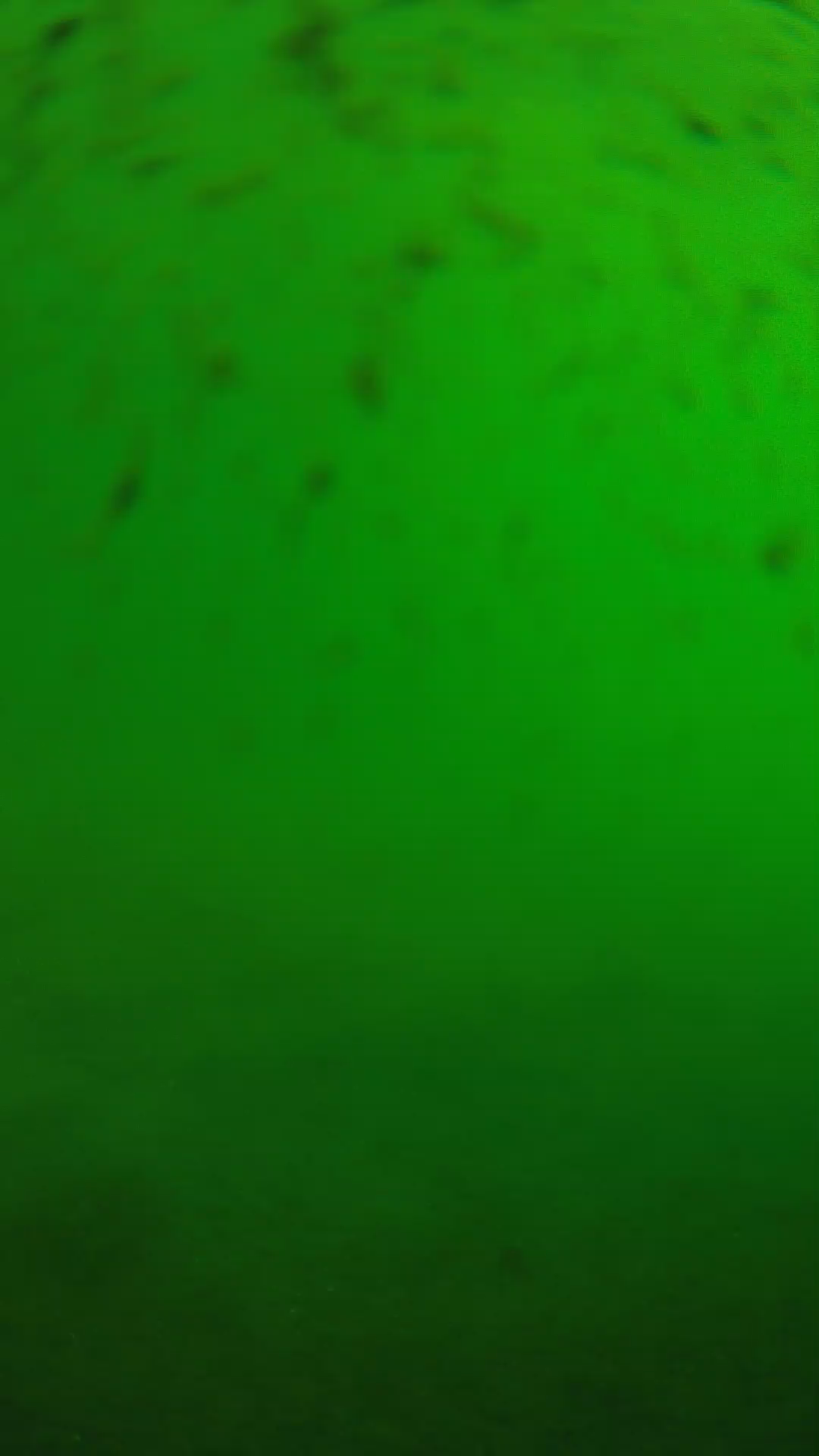lander_ipcam_20240626083544.png
