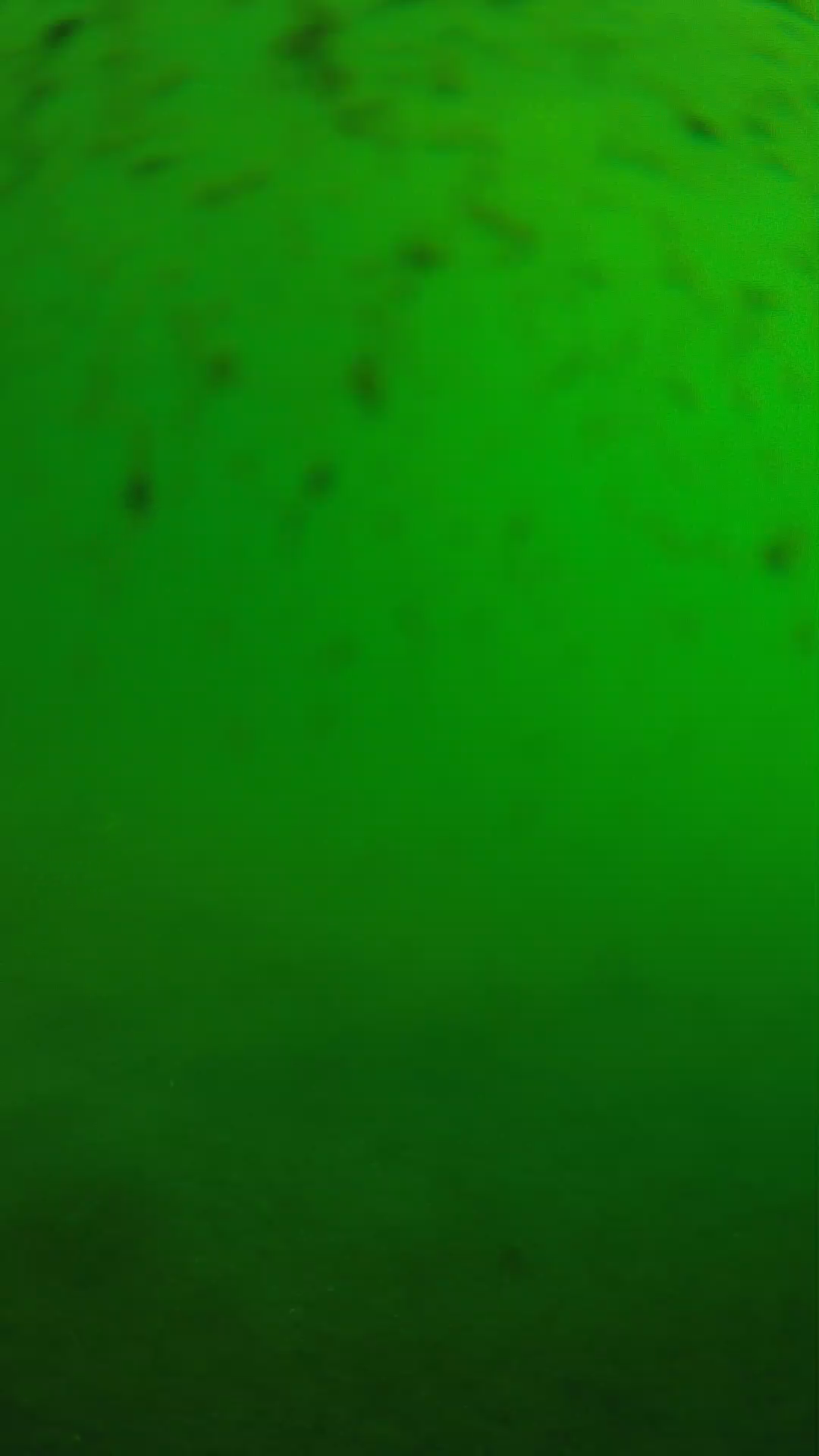 lander_ipcam_20240626083545.png