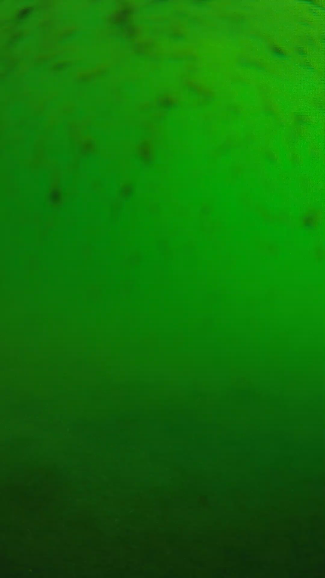 lander_ipcam_20240626083546.png