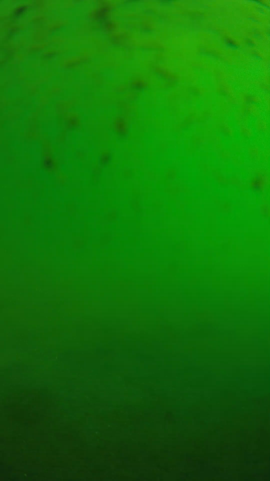 lander_ipcam_20240626083548.png