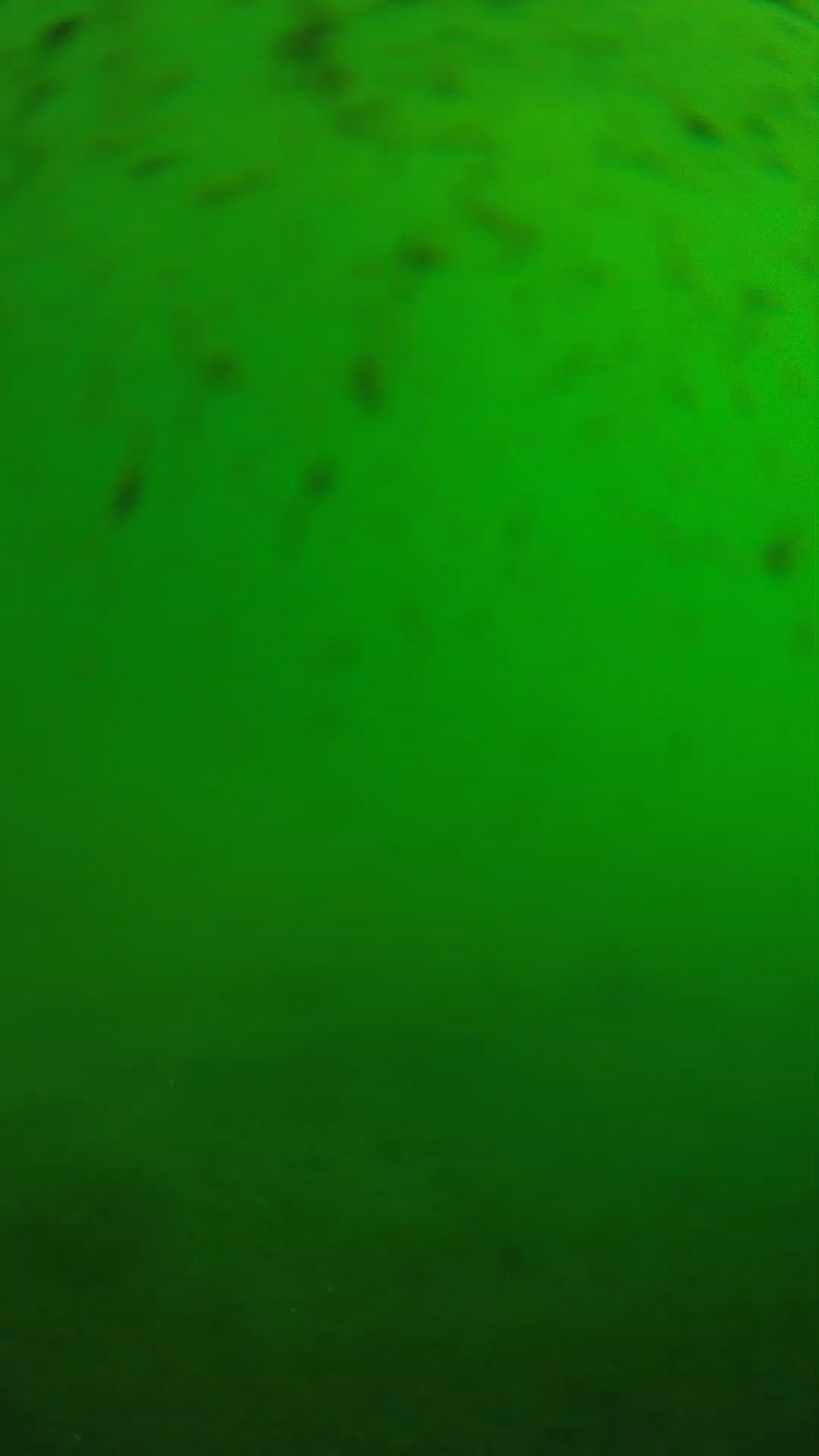 lander_ipcam_20240626083552.png
