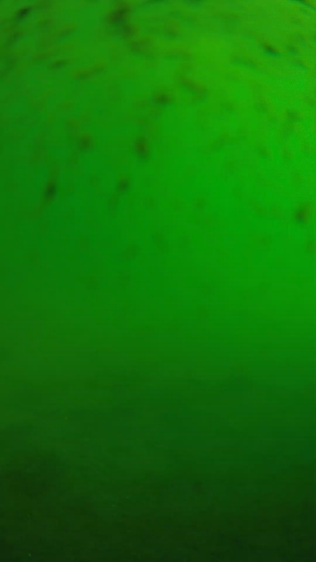 lander_ipcam_20240626083555.png