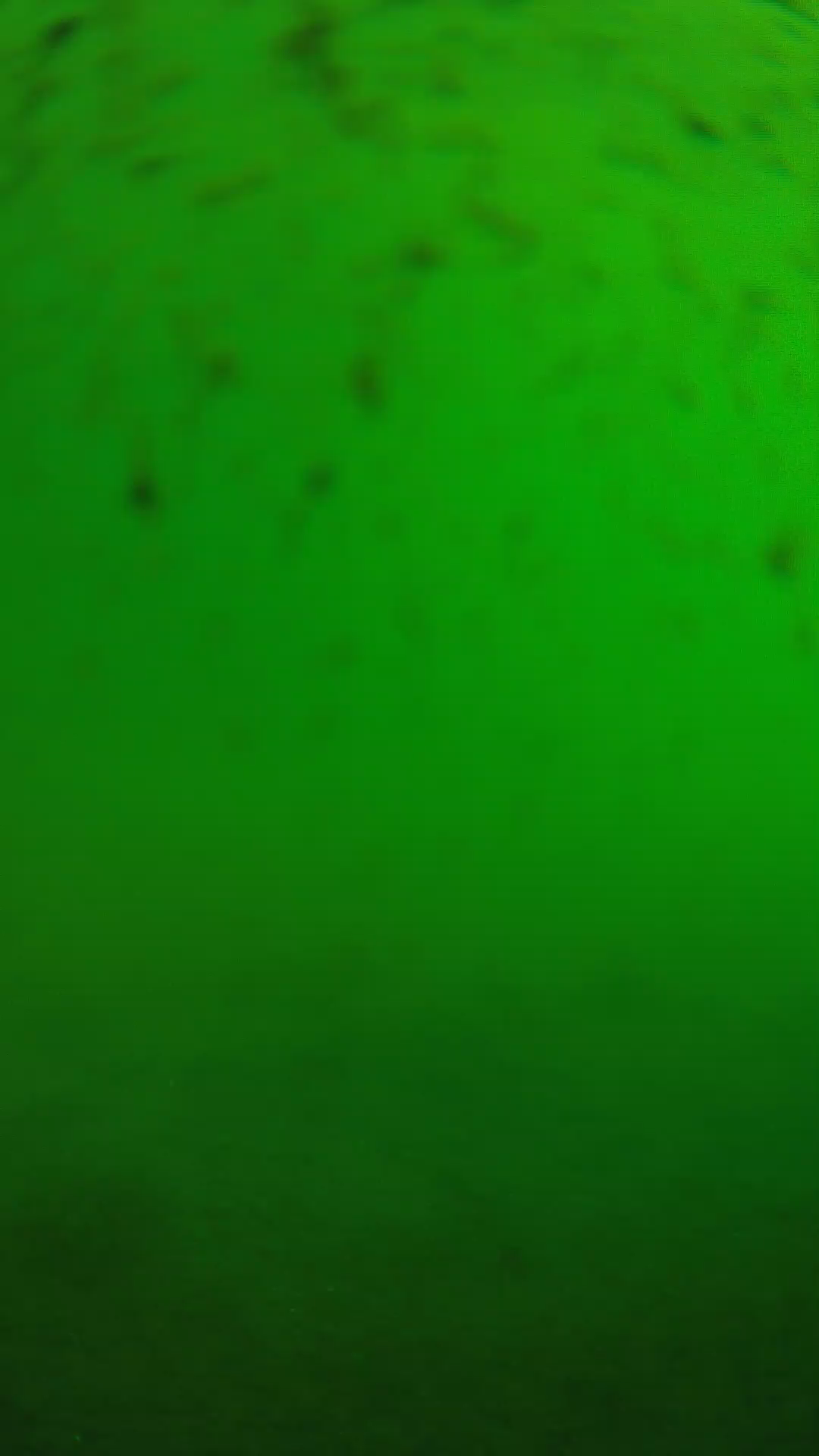 lander_ipcam_20240626083601.png