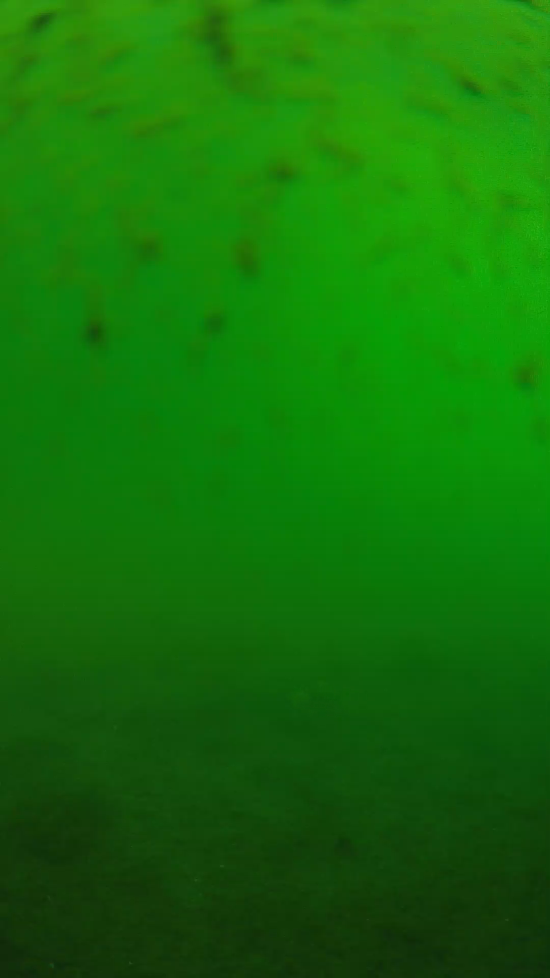 lander_ipcam_20240626090540.png