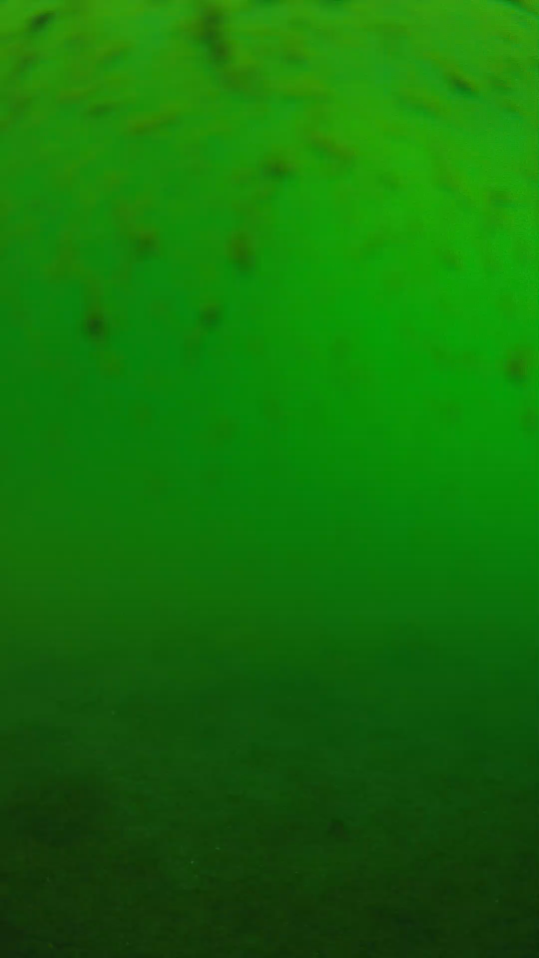 lander_ipcam_20240626090543.png