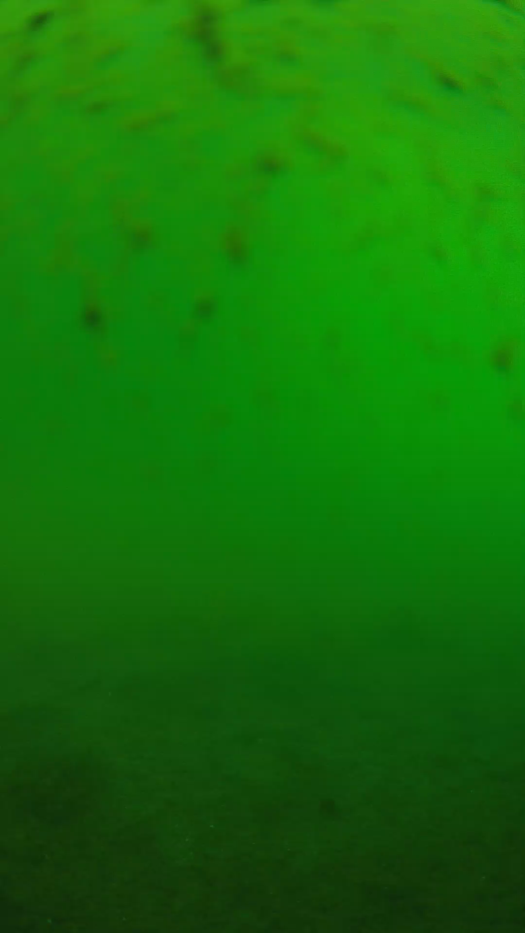 lander_ipcam_20240626090545.png