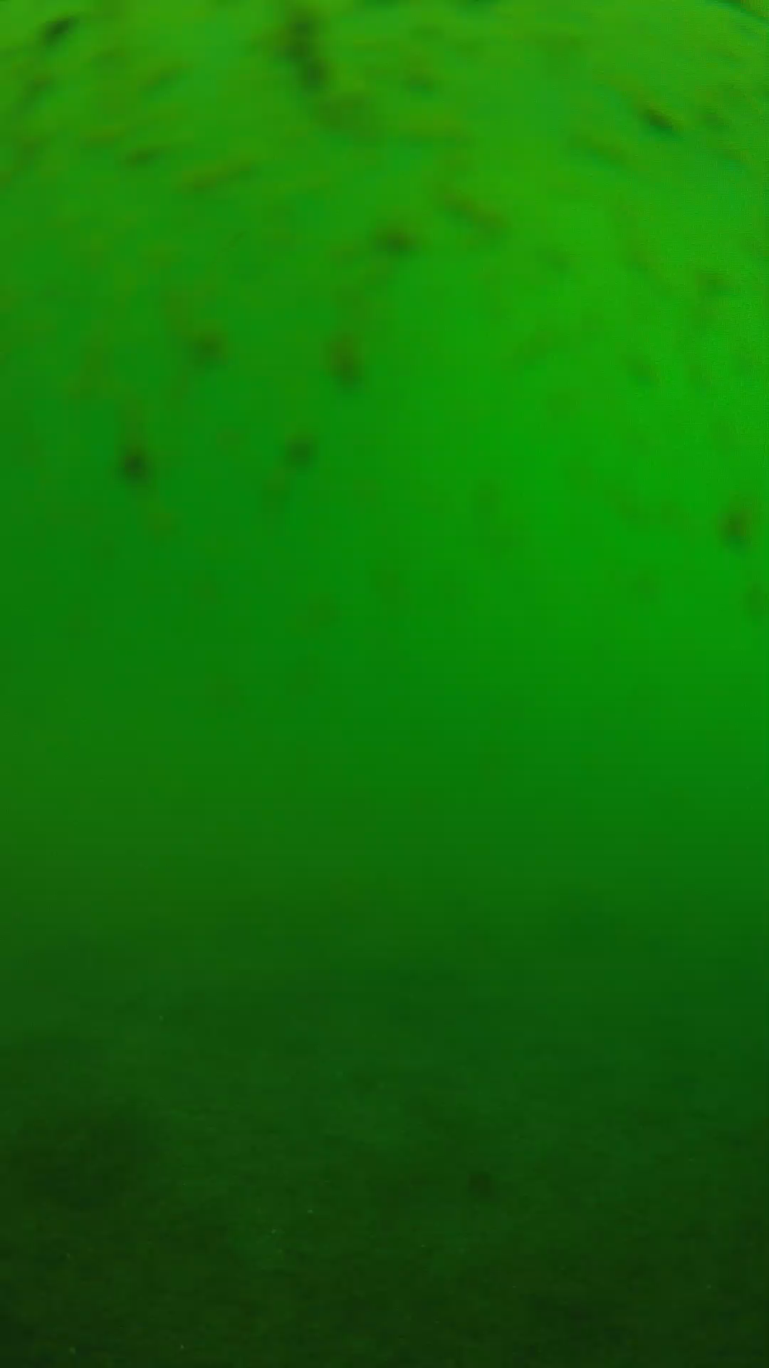 lander_ipcam_20240626090546.png