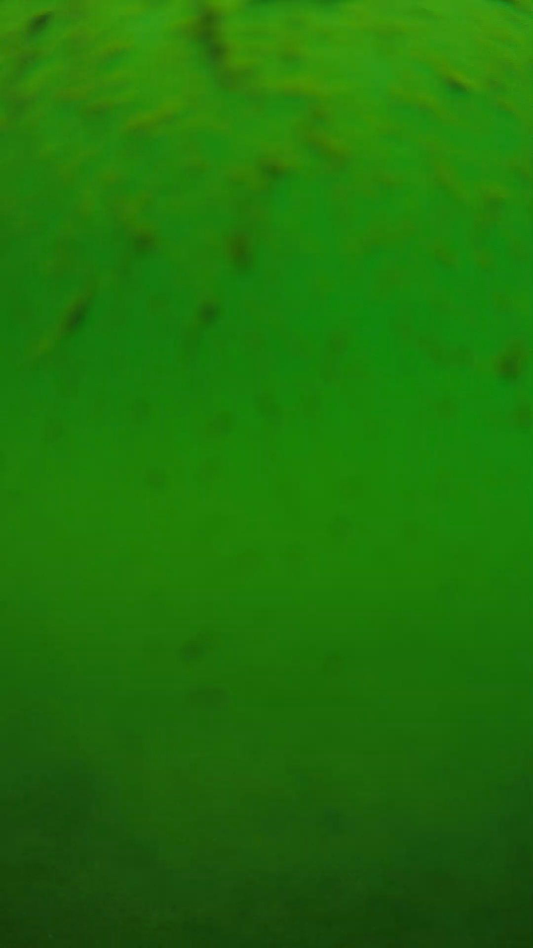 lander_ipcam_20240626110539.png