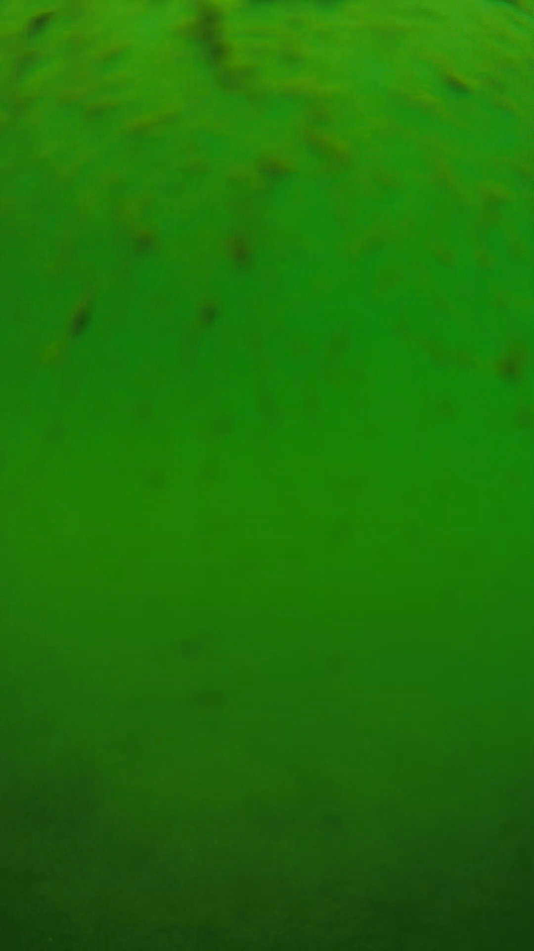 lander_ipcam_20240626110540.png