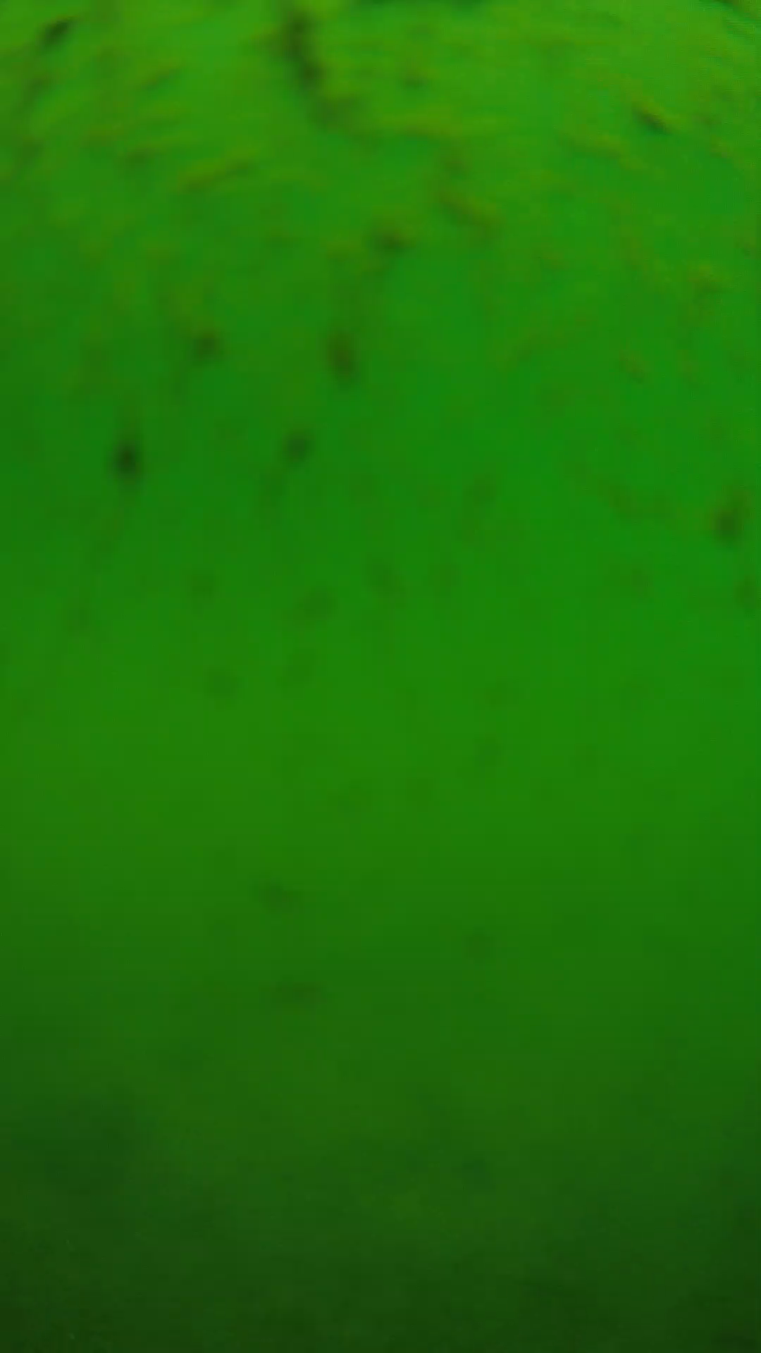 lander_ipcam_20240626110541.png