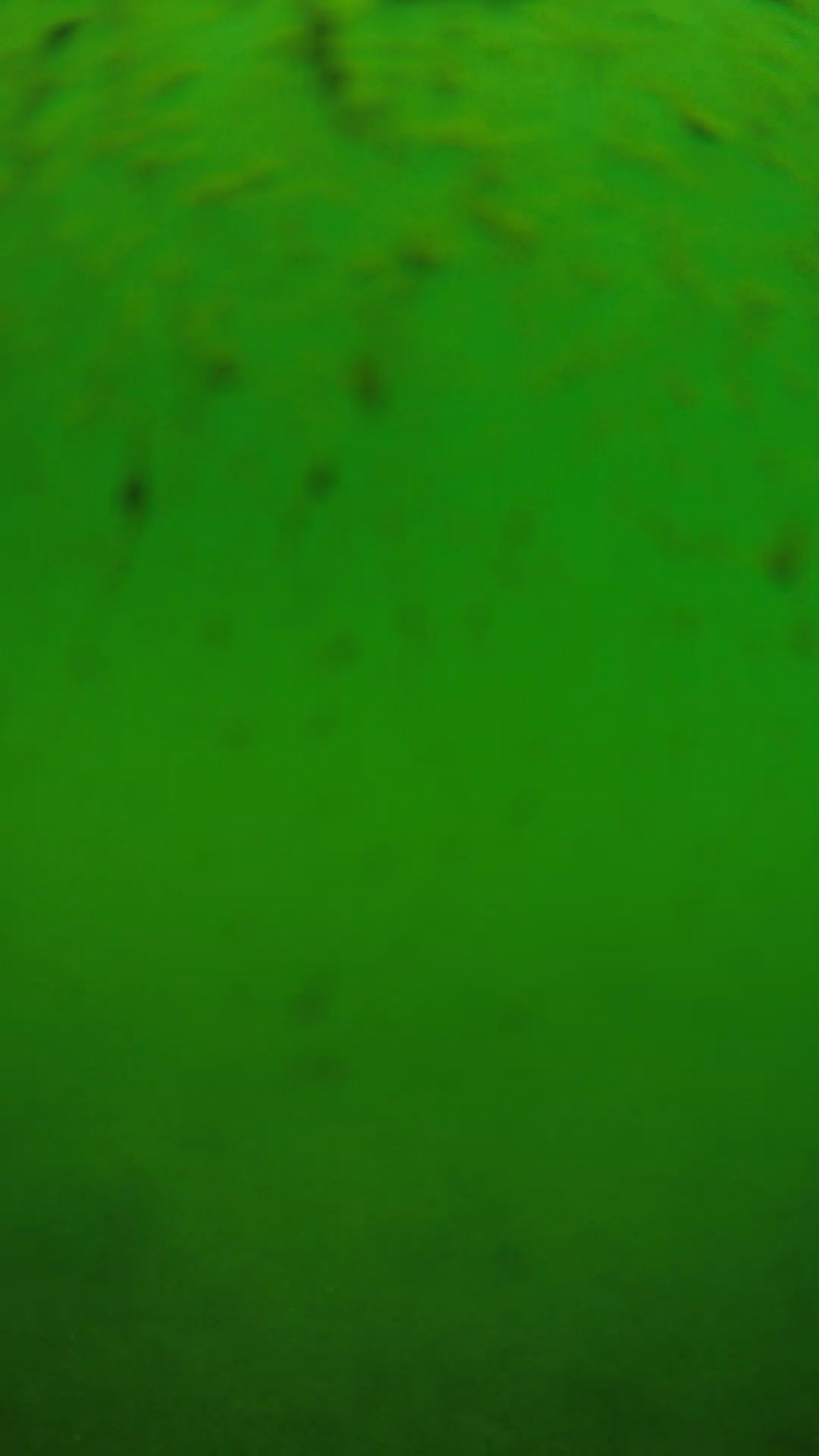 lander_ipcam_20240626110542.png