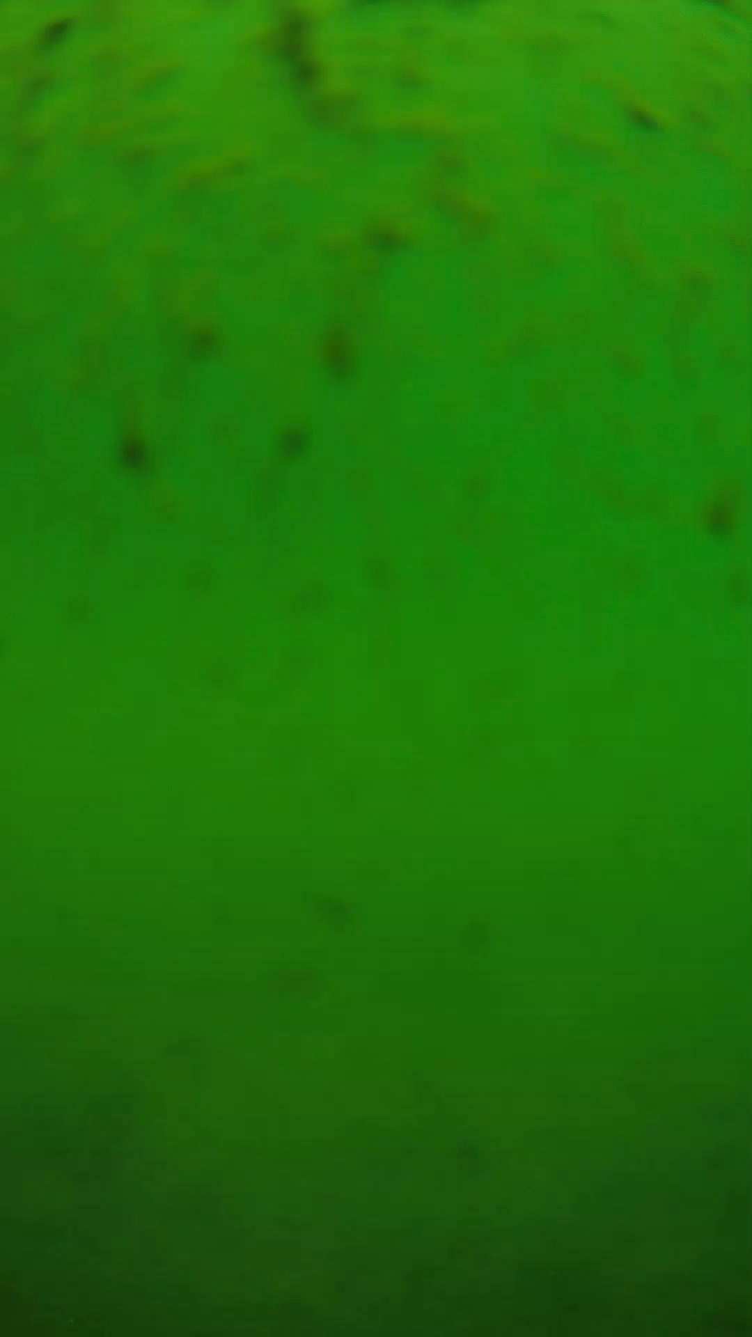lander_ipcam_20240626110547.png