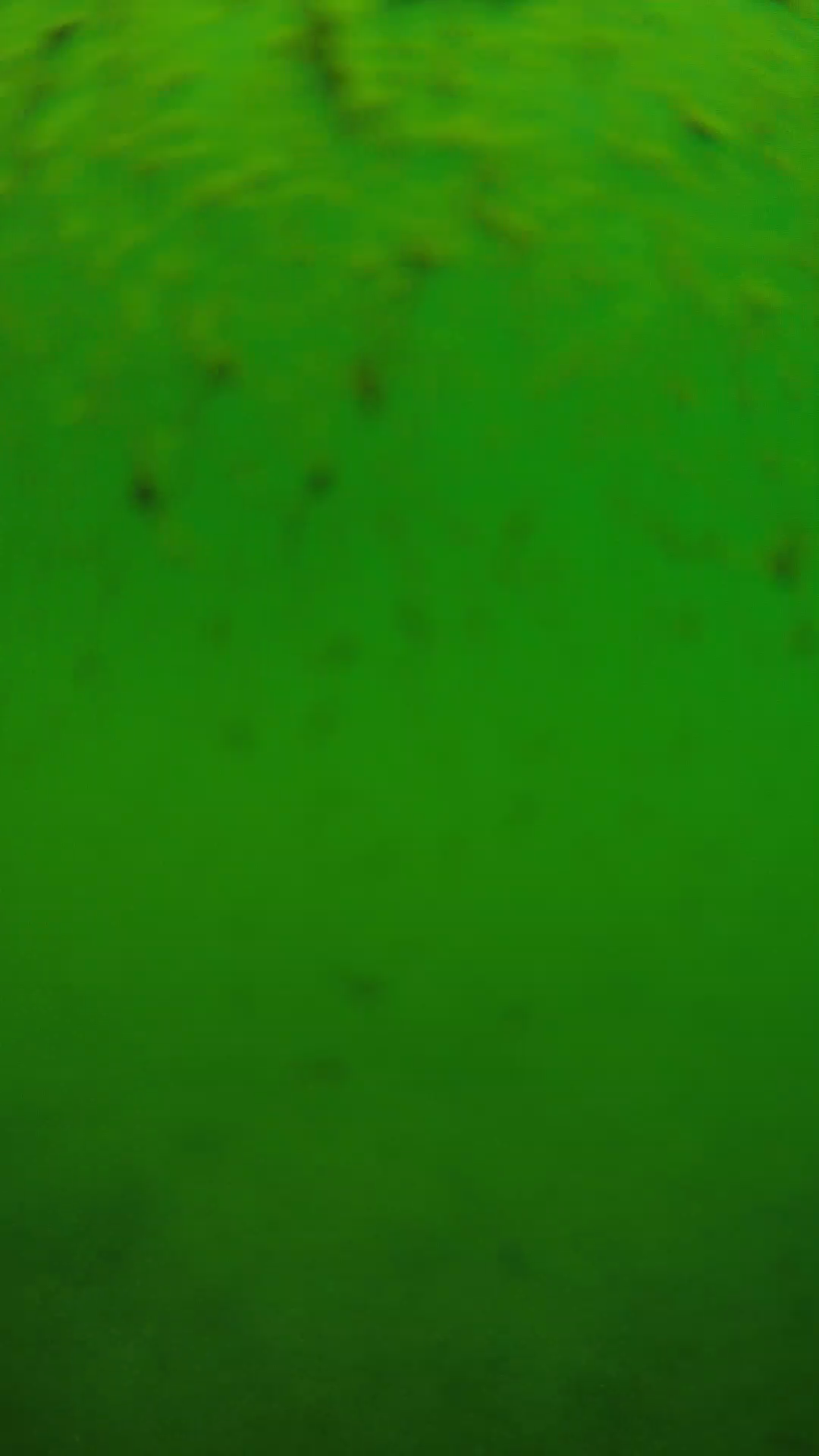 lander_ipcam_20240626110548.png