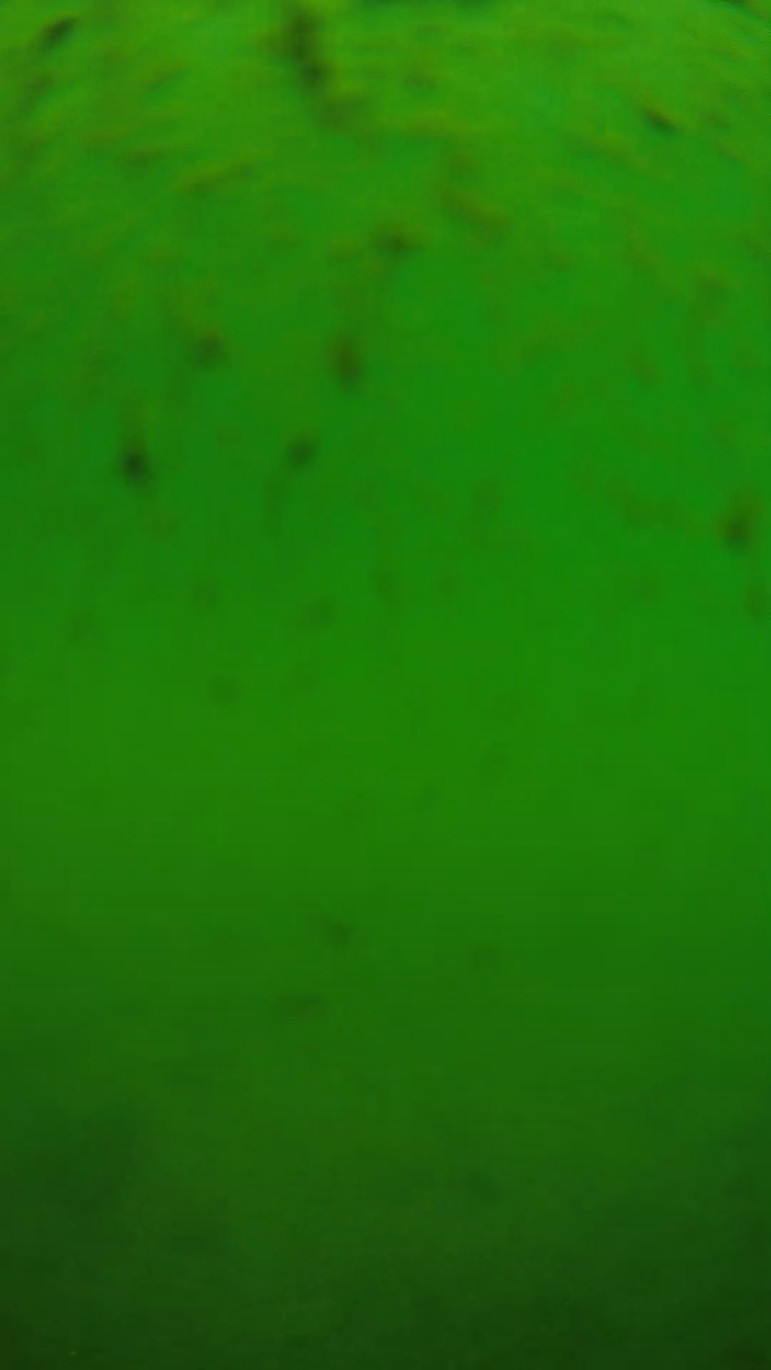 lander_ipcam_20240626110549.png