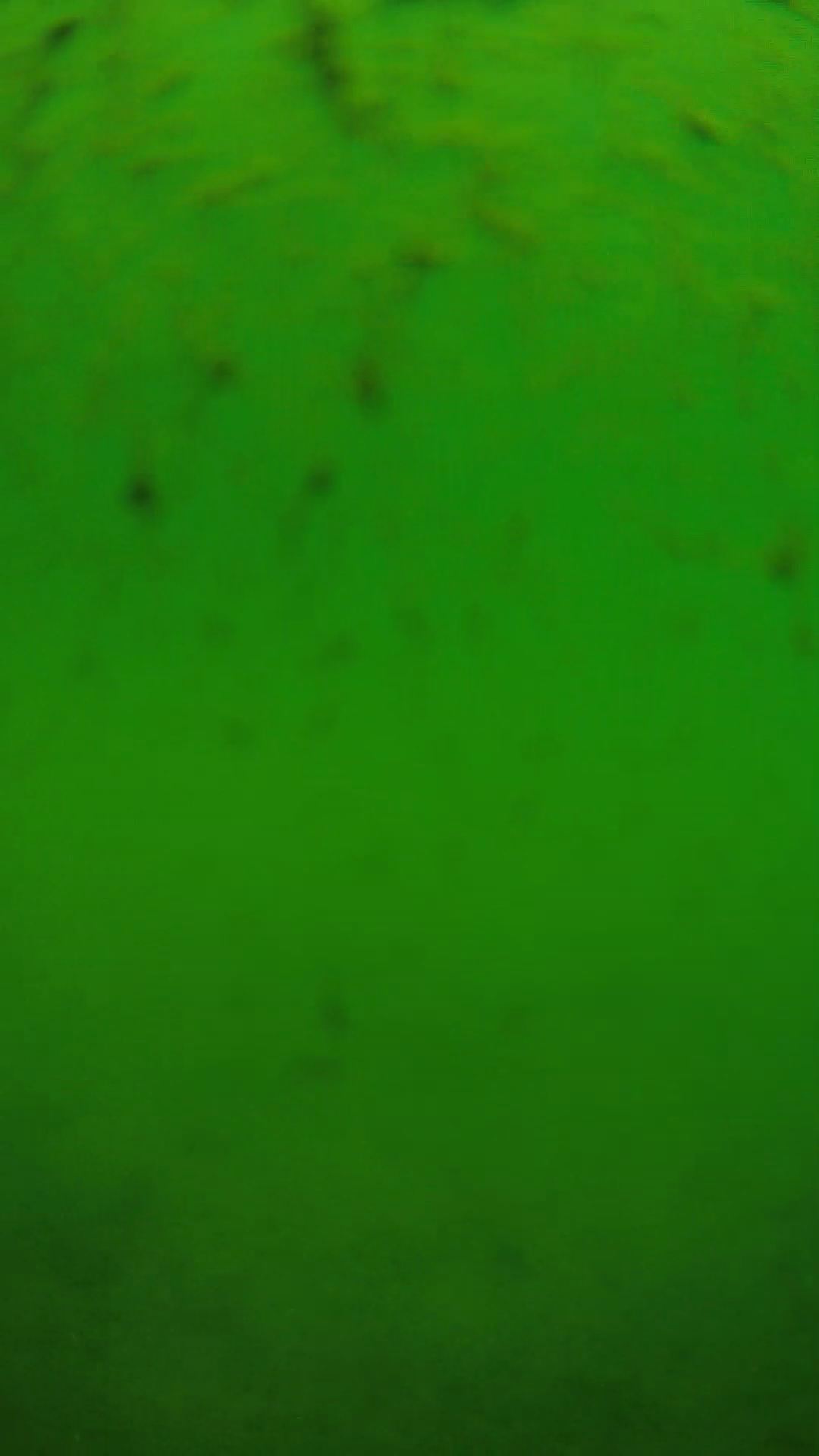 lander_ipcam_20240626110553.png