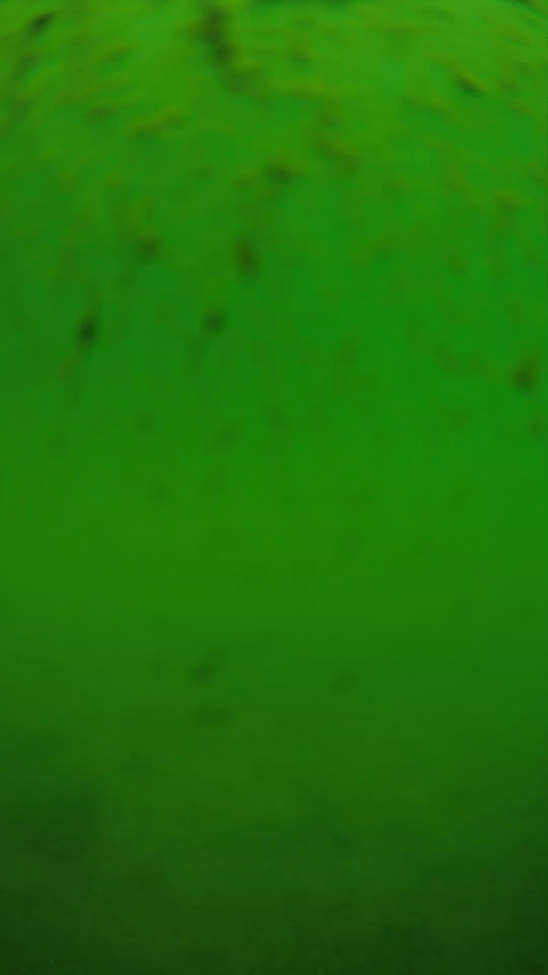 lander_ipcam_20240626110554.png