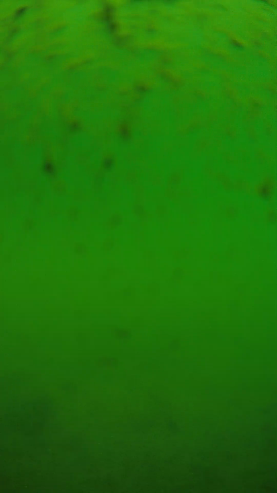 lander_ipcam_20240626110558.png