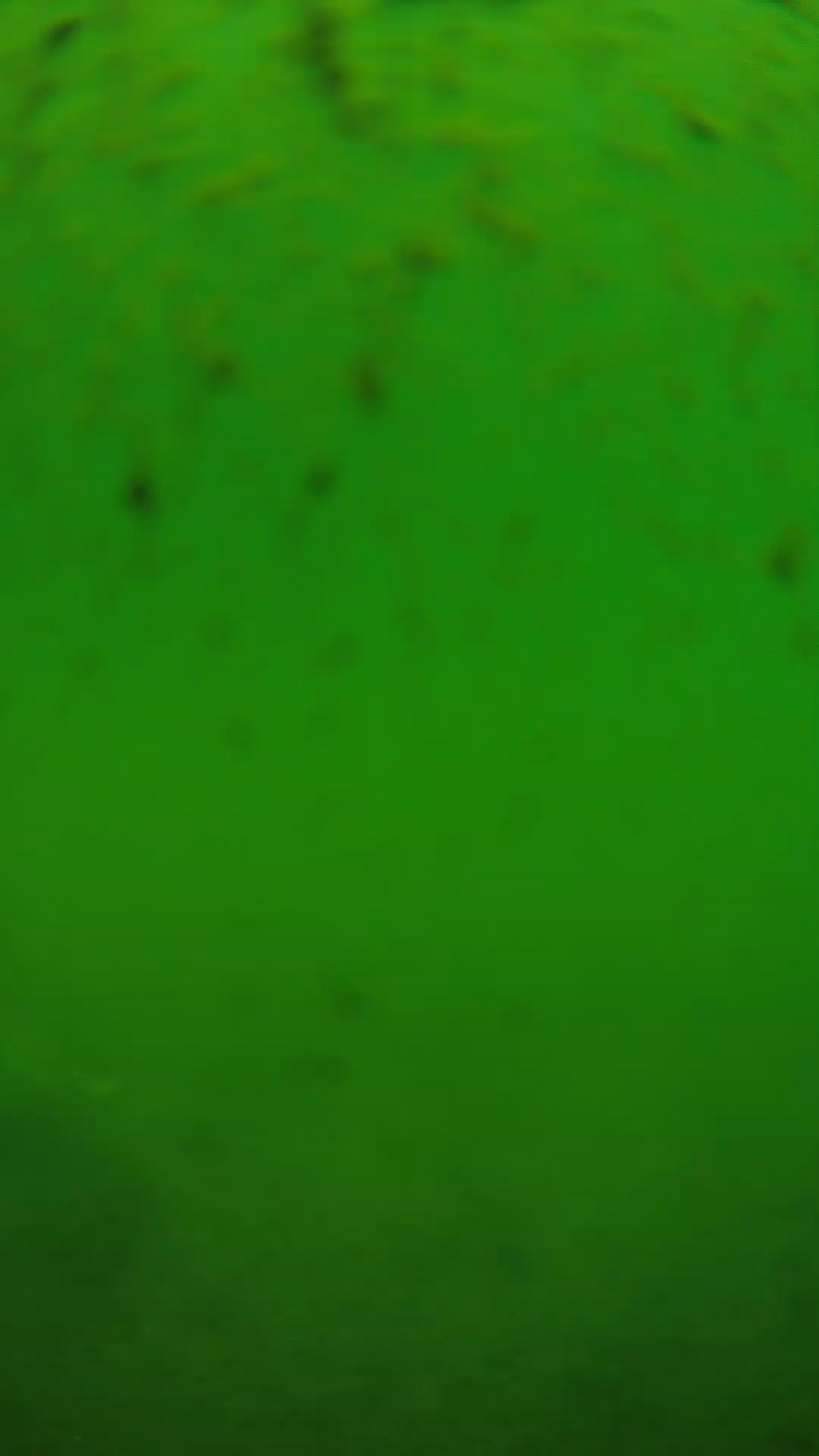 lander_ipcam_20240626110600.png