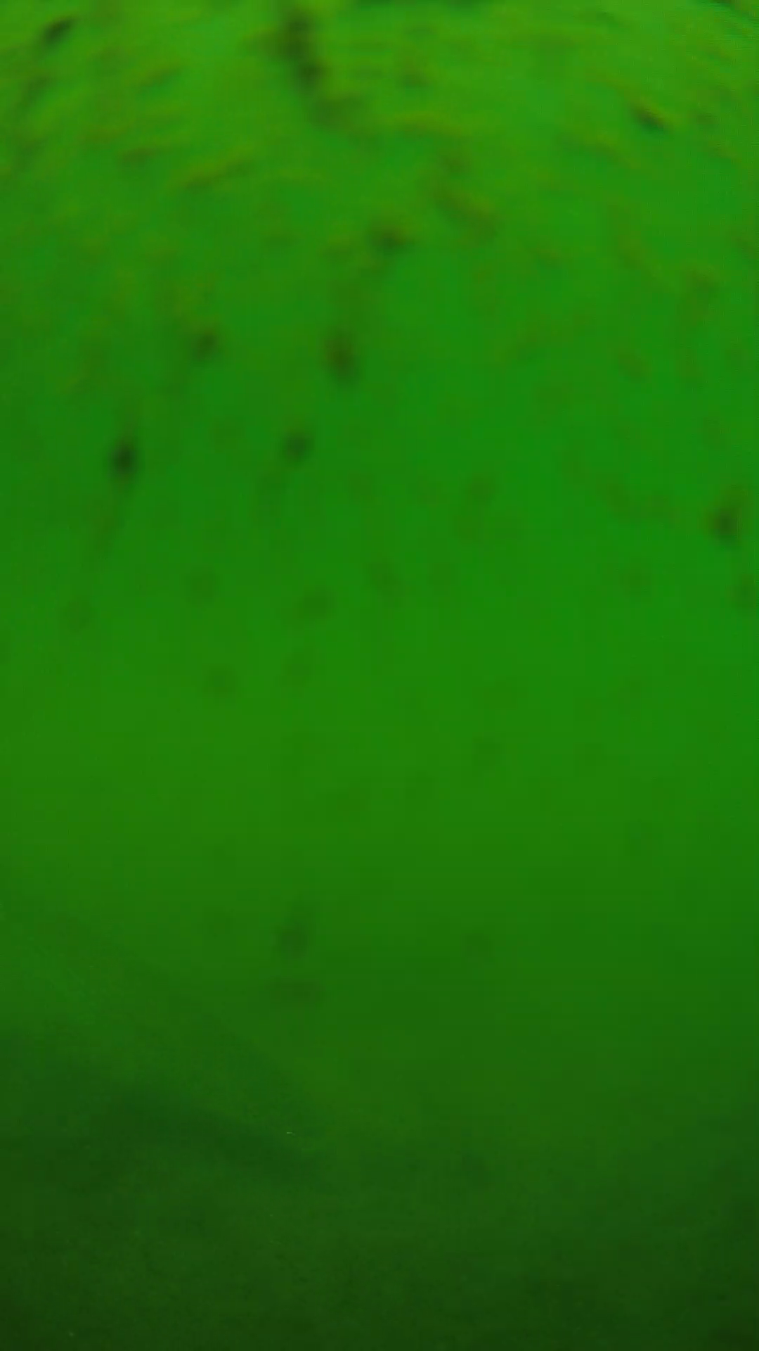 lander_ipcam_20240626110601.png