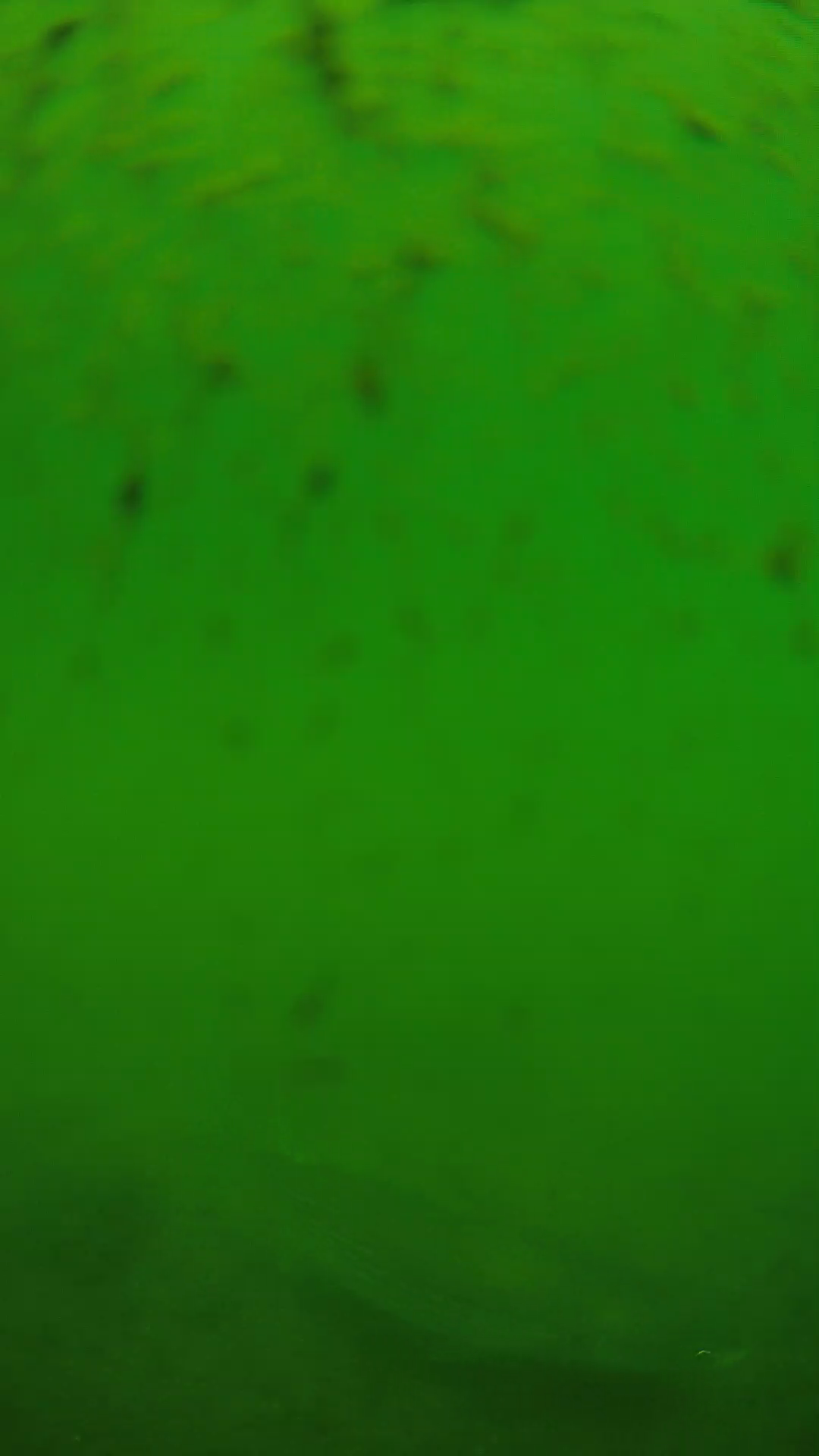 lander_ipcam_20240626110603.png