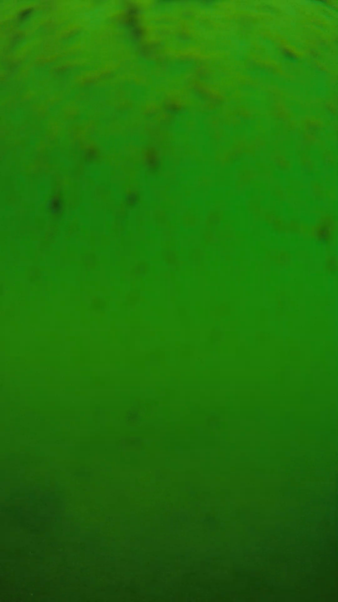 lander_ipcam_20240626110607.png