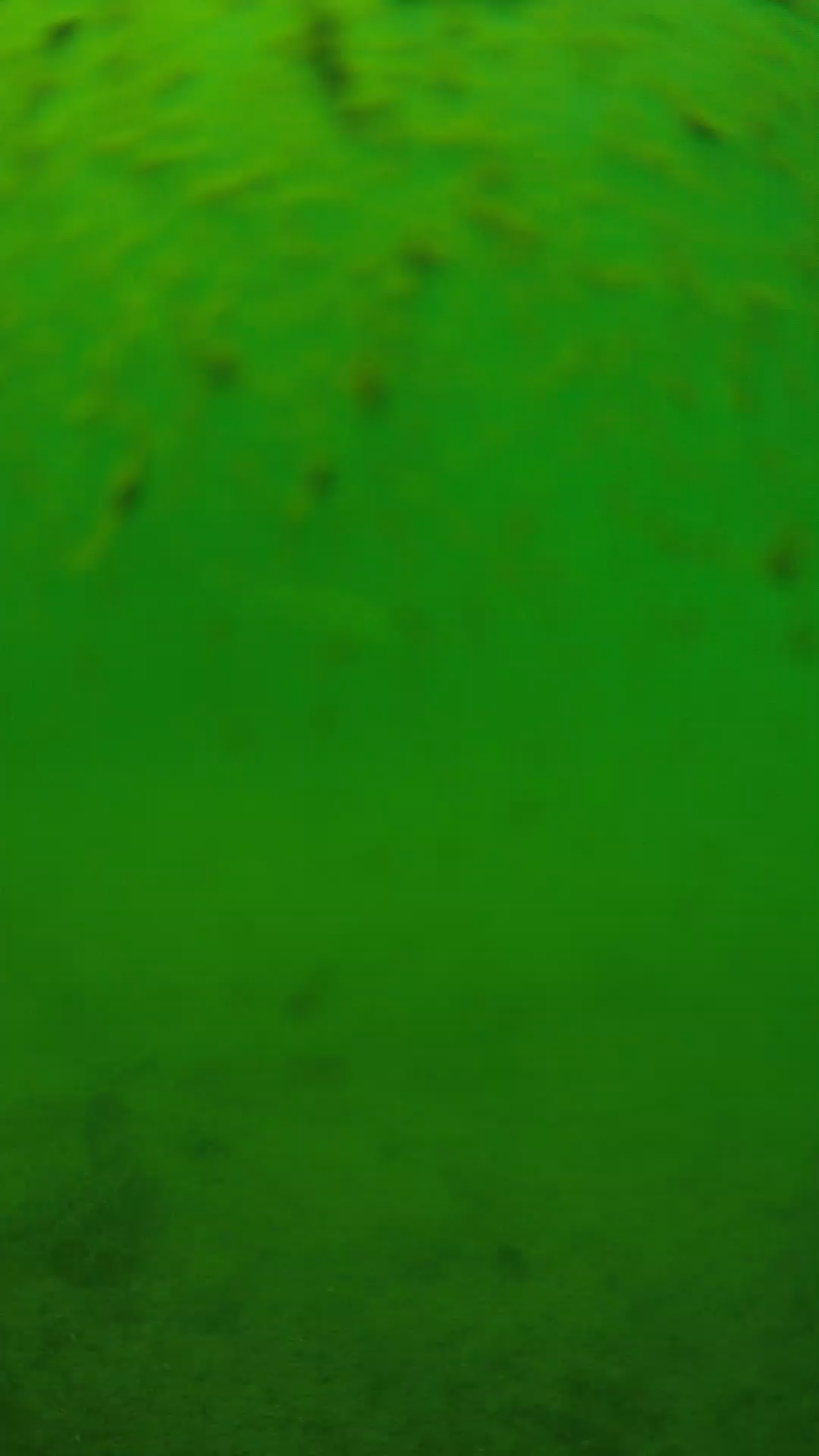 lander_ipcam_20240626123538.png