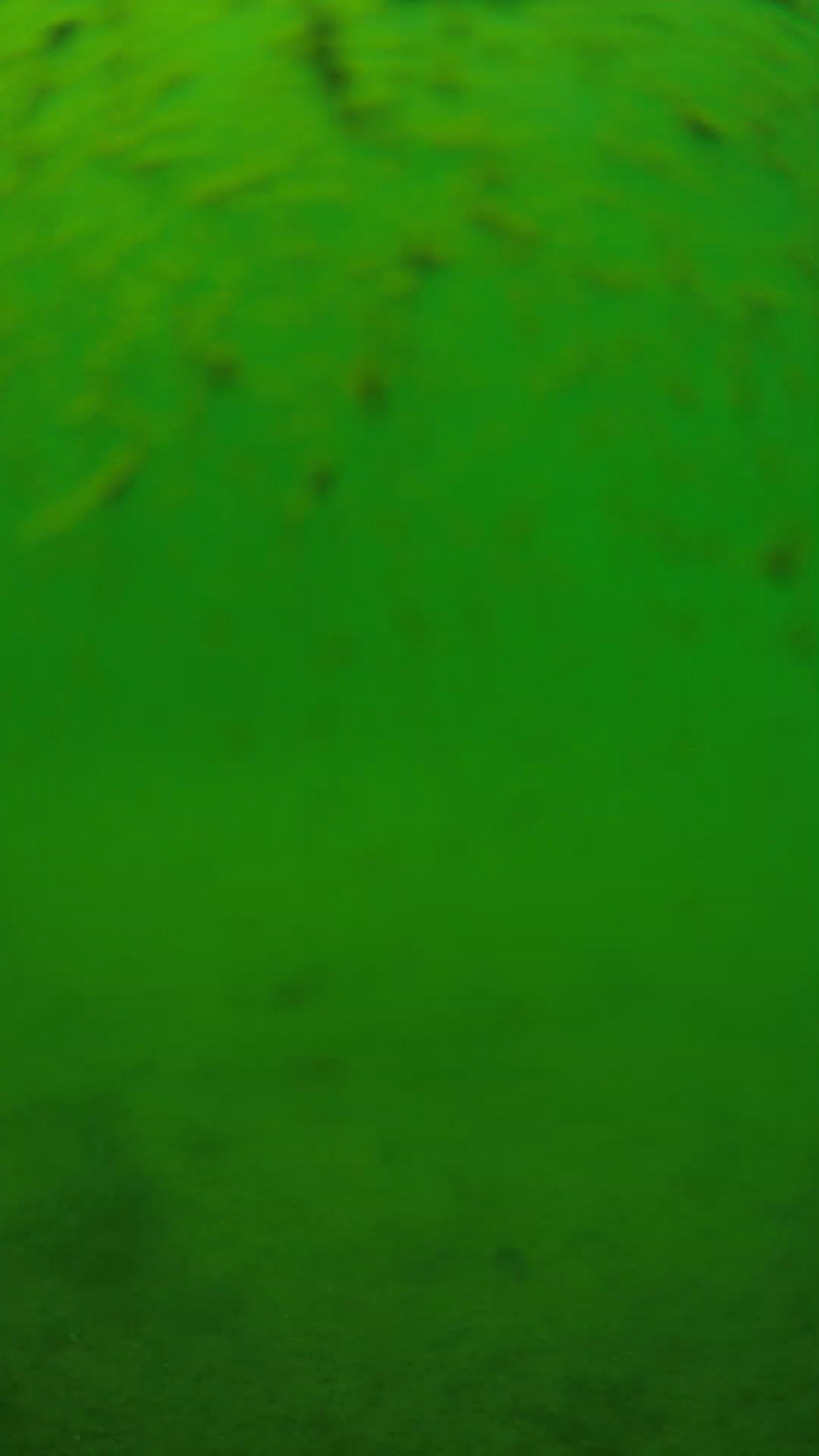lander_ipcam_20240626123545.png