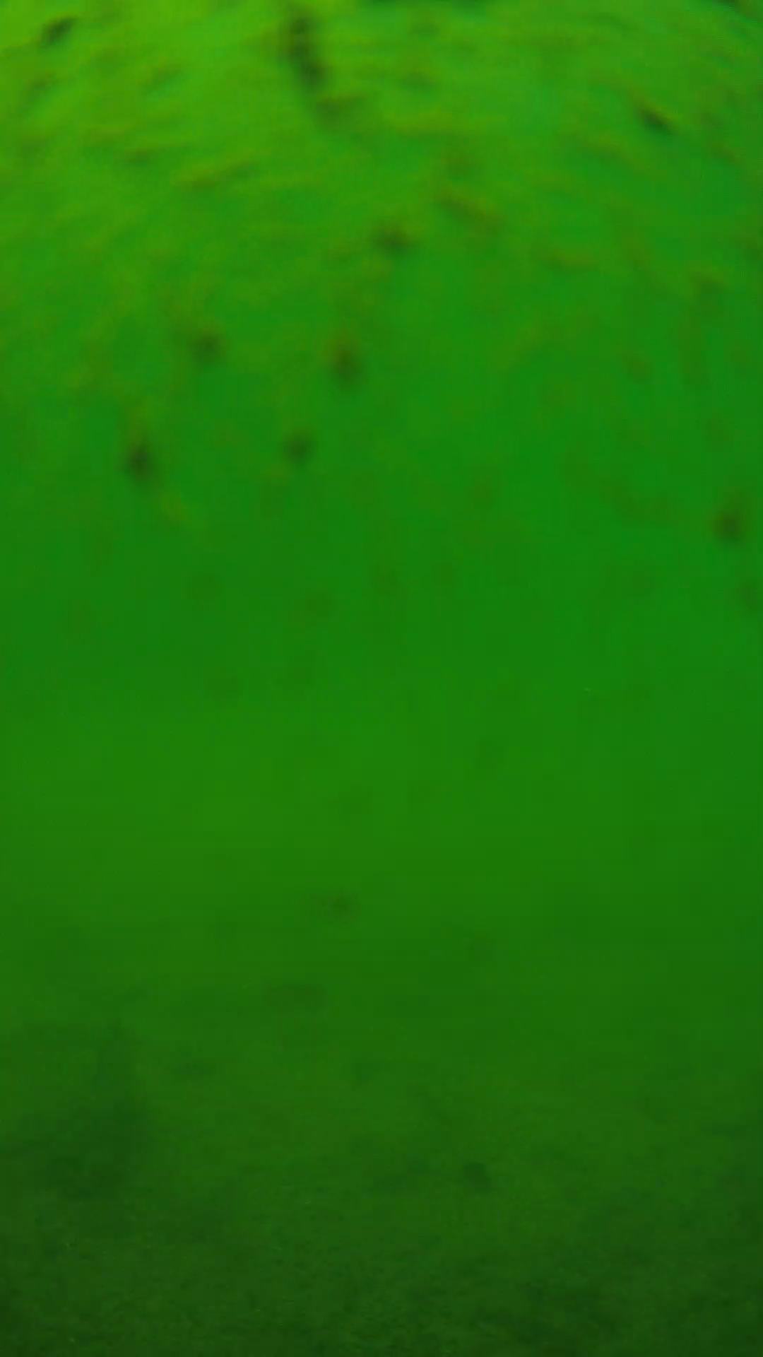 lander_ipcam_20240626123548.png