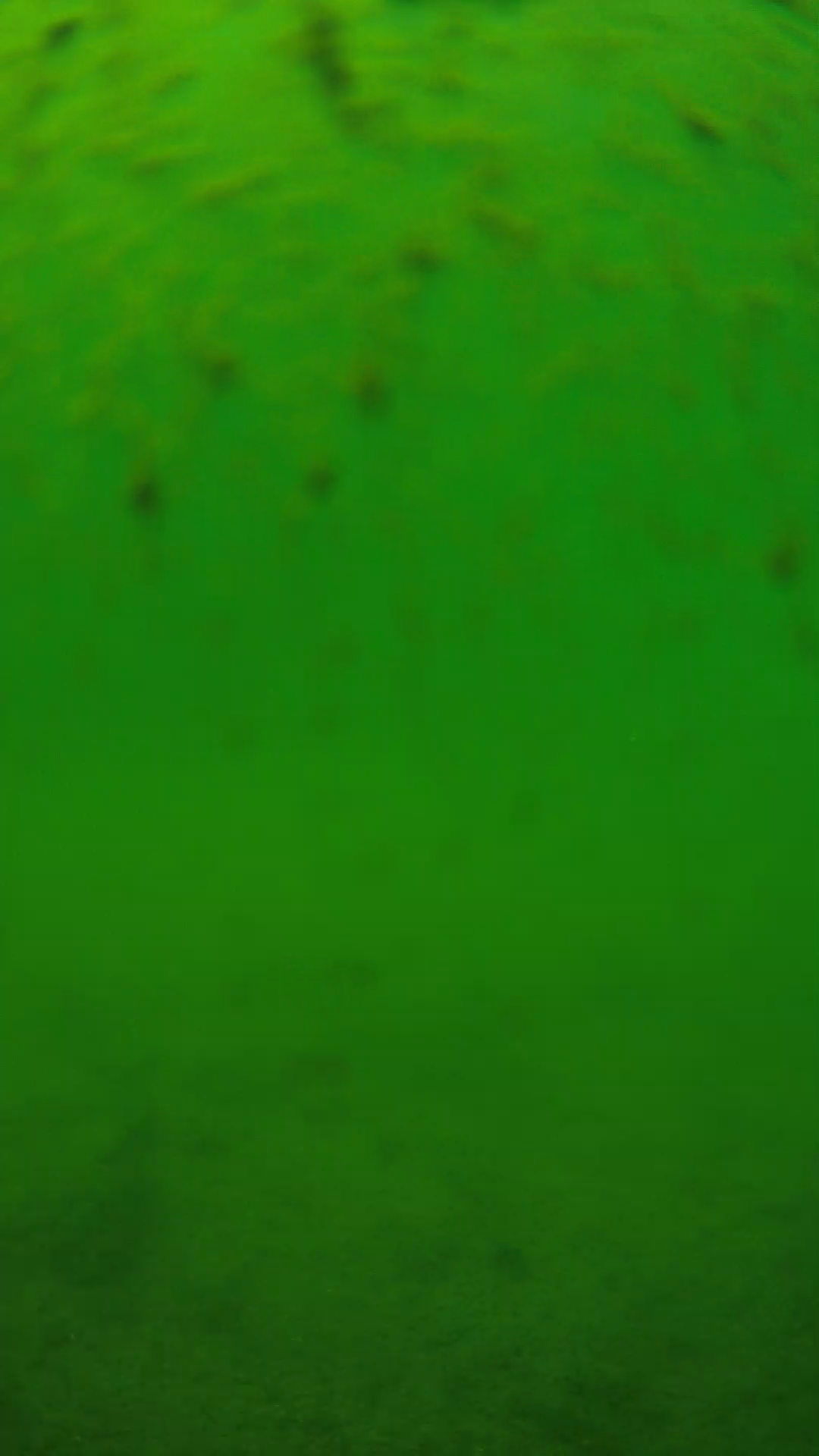 lander_ipcam_20240626123550.png