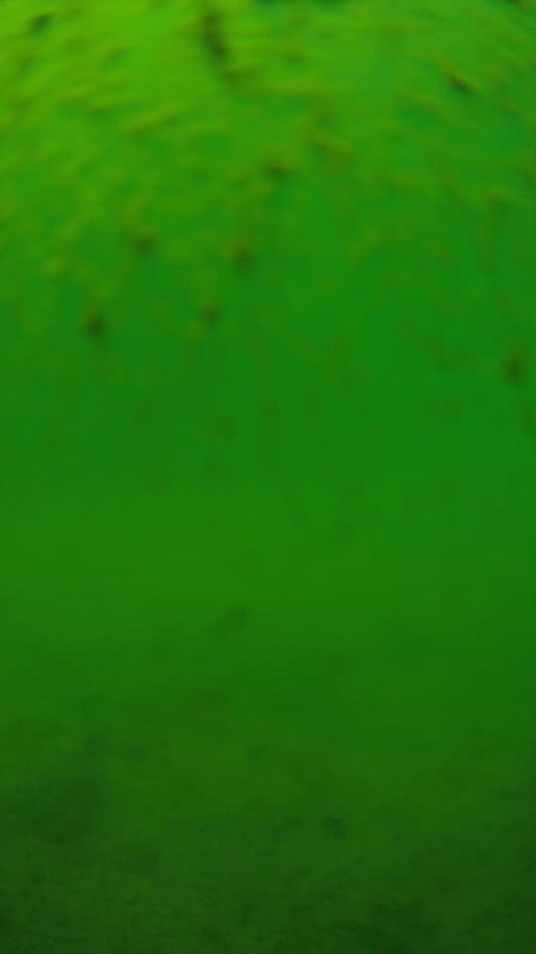 lander_ipcam_20240626123553.png