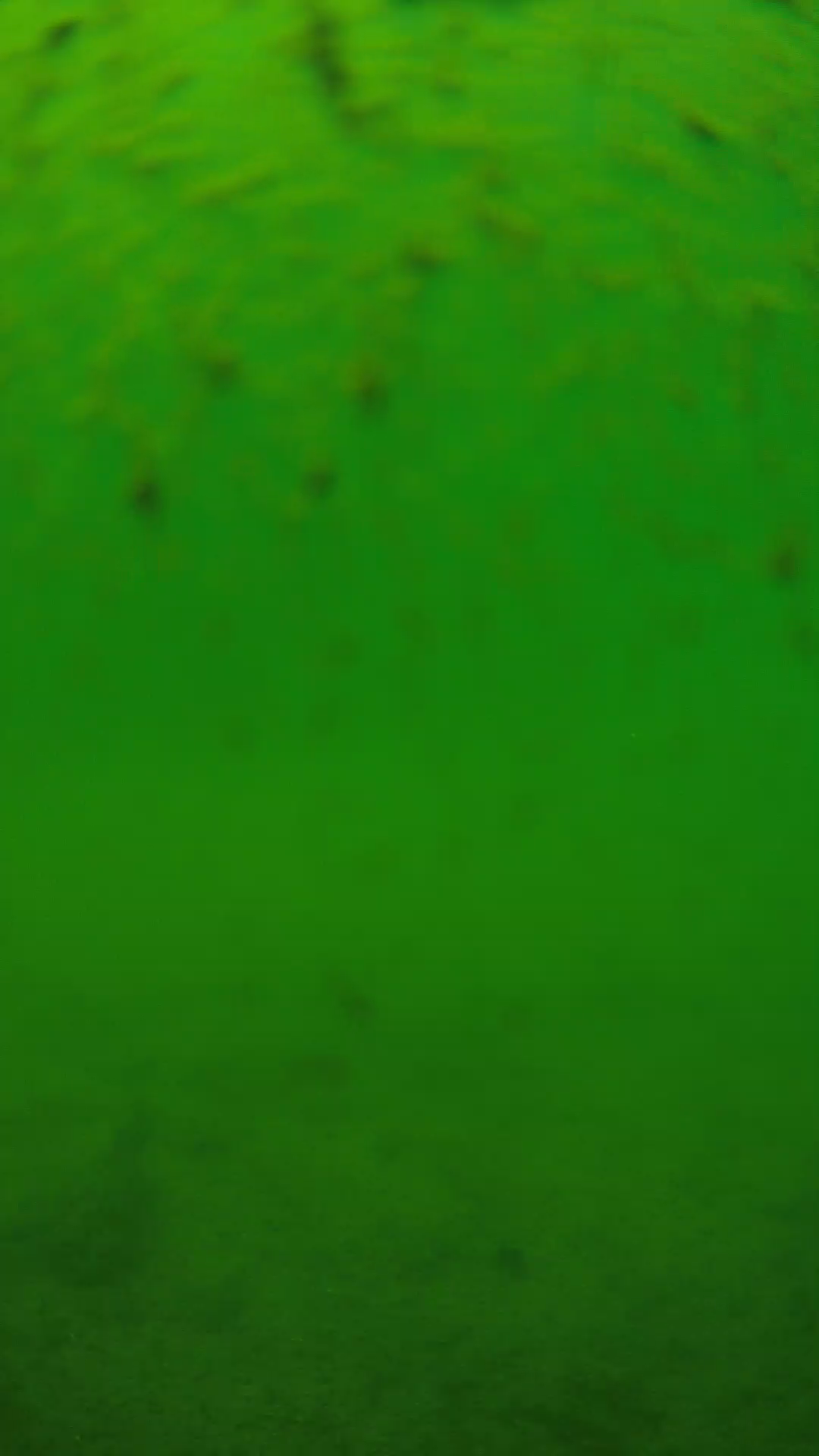 lander_ipcam_20240626123555.png