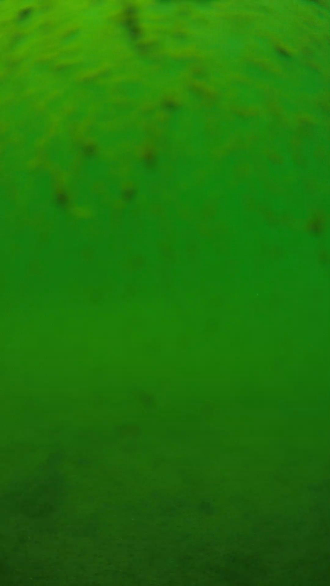 lander_ipcam_20240626123556.png