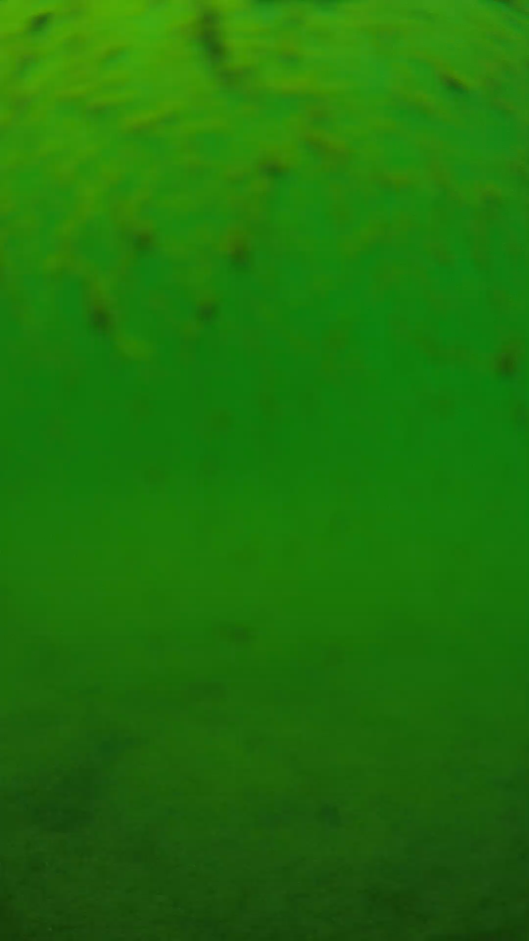 lander_ipcam_20240626123607.png