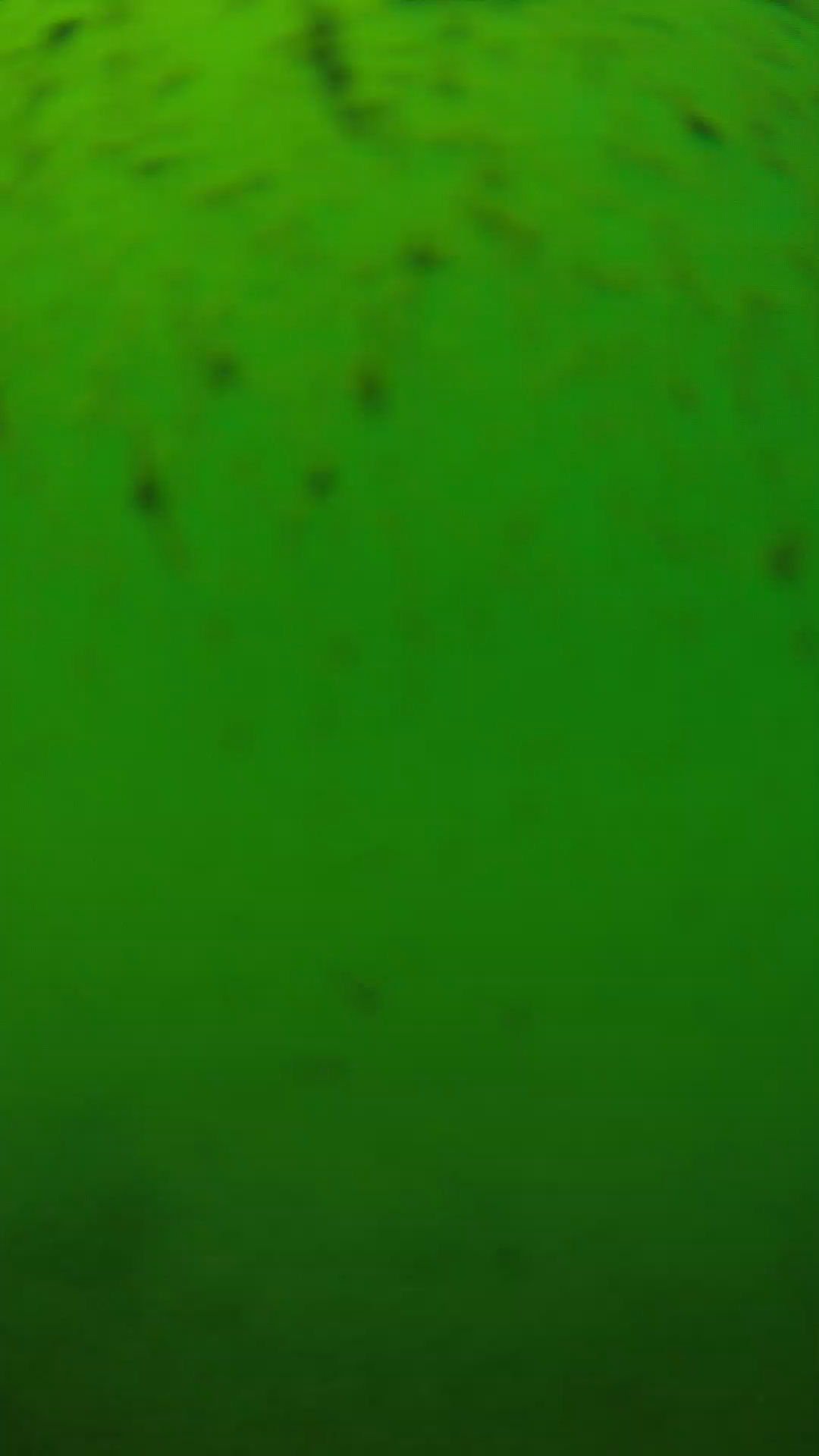 lander_ipcam_20240626130538.png